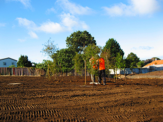 Native Solutions team member implementing silvicultural practices and native planting in Canterbury, Greater Christchurch, Hawkes Bay, and Gisborne