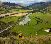 Native Solutions landscaping and forest management project in Canterbury, Otago, Queenstown, and Manawatu