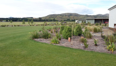 website gallery image of native bush planting and forestry management project by Native Solutions website offering forestry management and forestry planting in Canterbury NZ