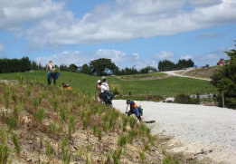 Native Solutions native revegetation and land maintenance project in South Island, Christchurch, and Greater Christchurch