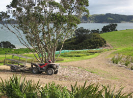 Native Solutions team carrying out mulching services and forest management in South Island, Christchurch, and Greater Christchurch