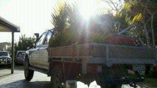 Native Solutions van providing forest management in Canterbury, Otago, Queenstown, and Manawatu