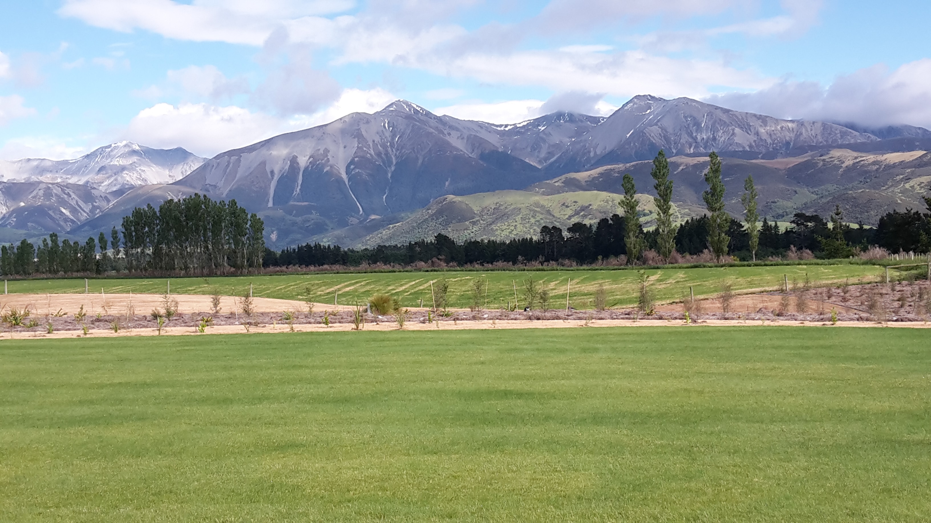 website header image of mountains and fields for Native Solutions website offering forestry management and forestry planting