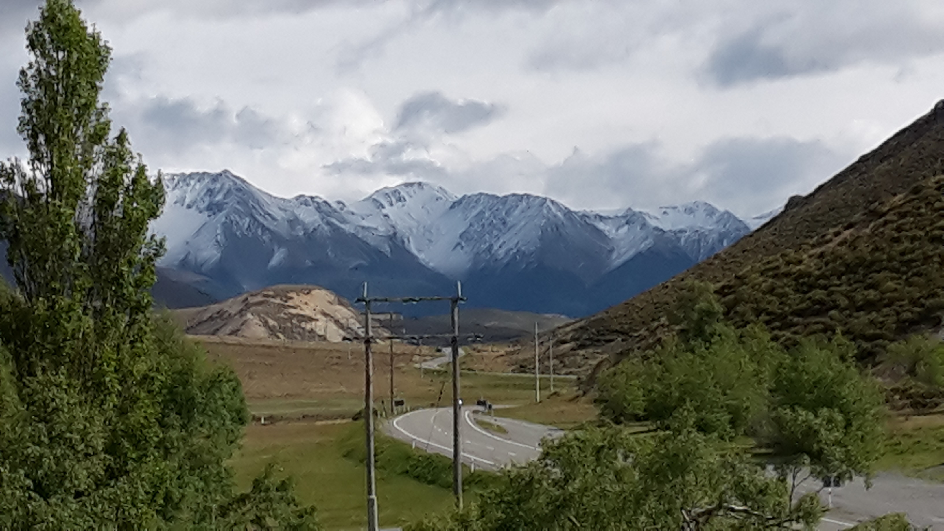 website image of mountains and fields for Native Solutions website offering forestry management and forestry planting