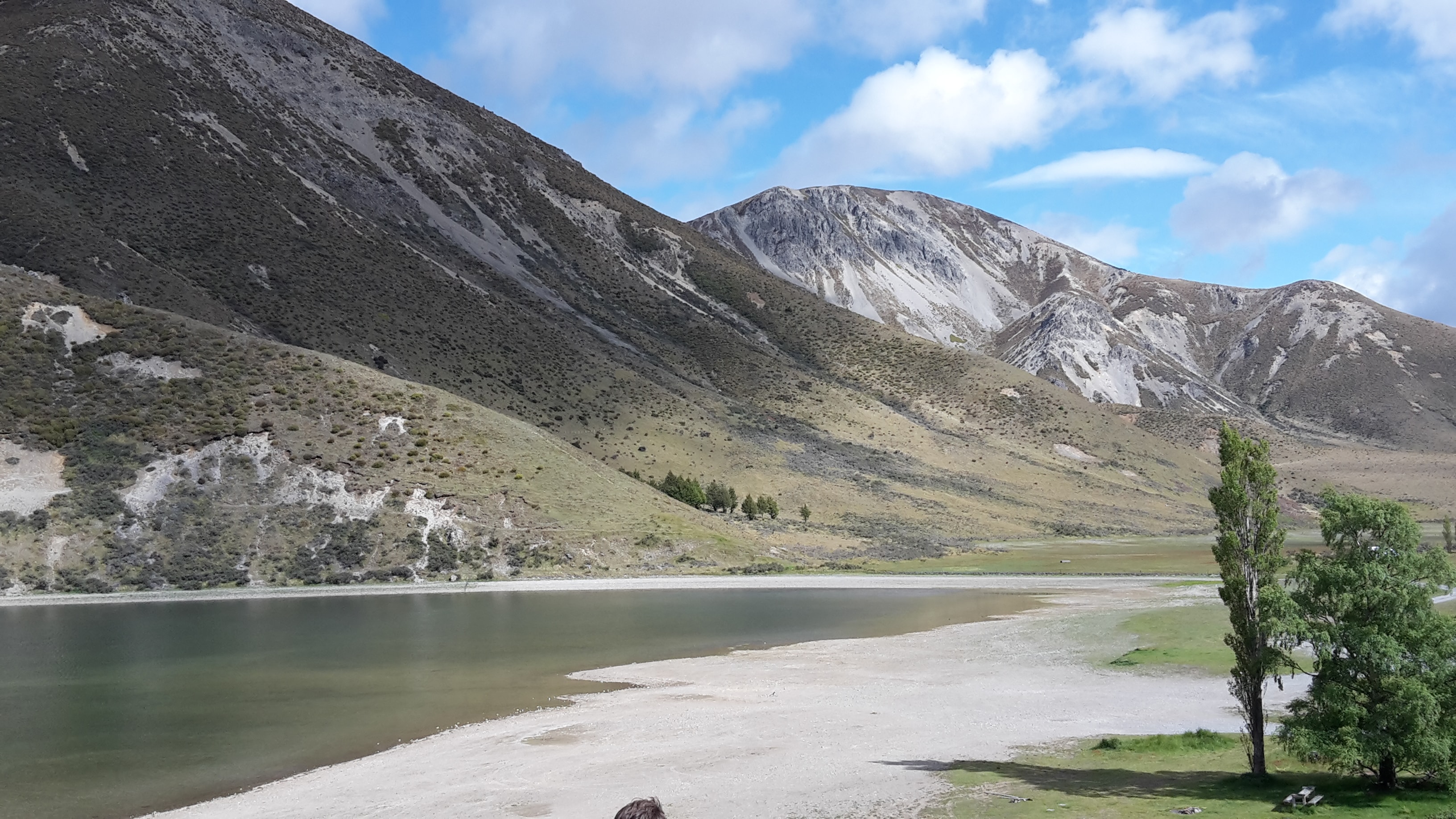 website image of mountains and fields for Native Solutions website offering forestry management and forestry planting