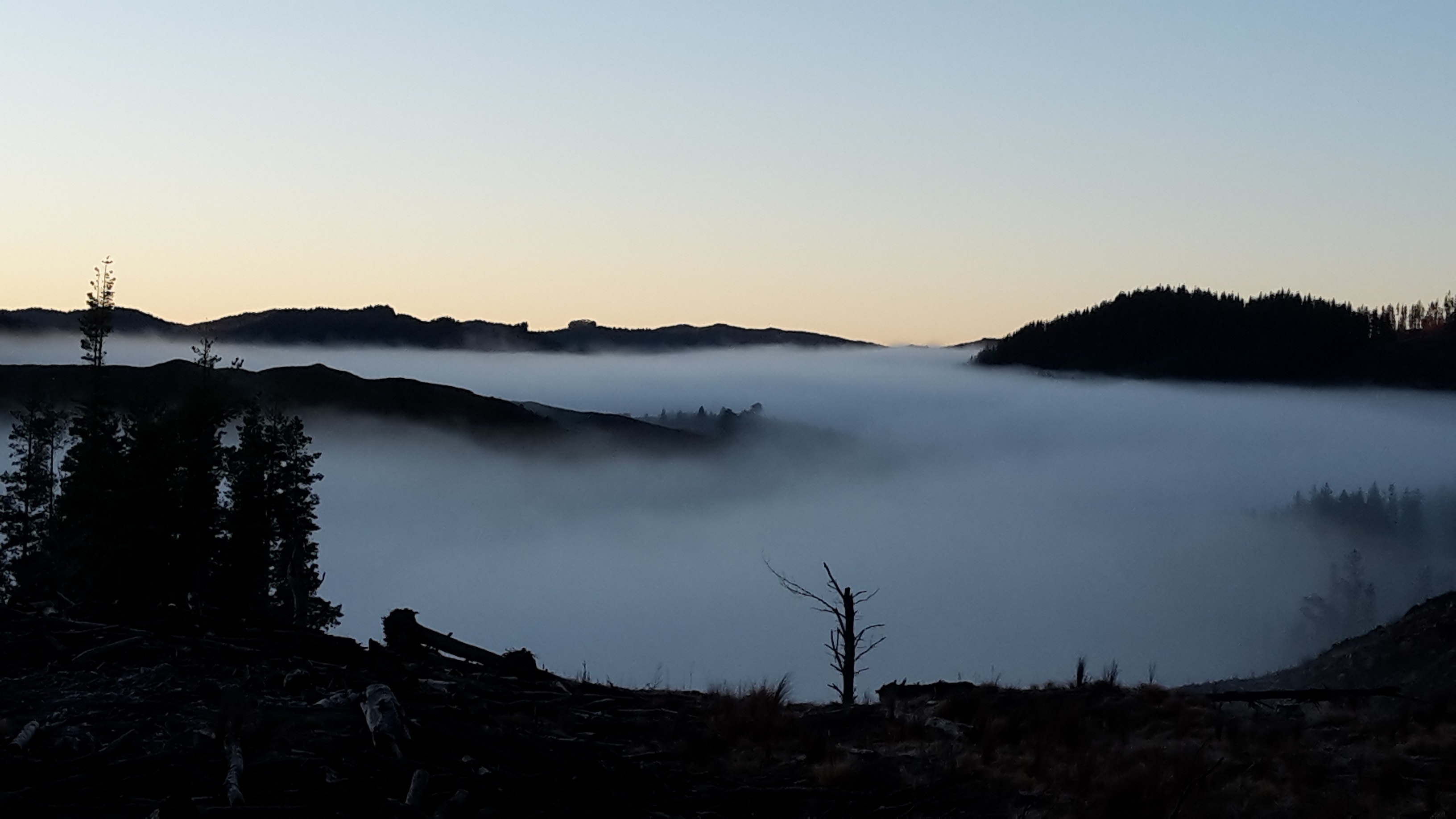 website image of mountains and fields for Native Solutions website offering forestry management and forestry planting