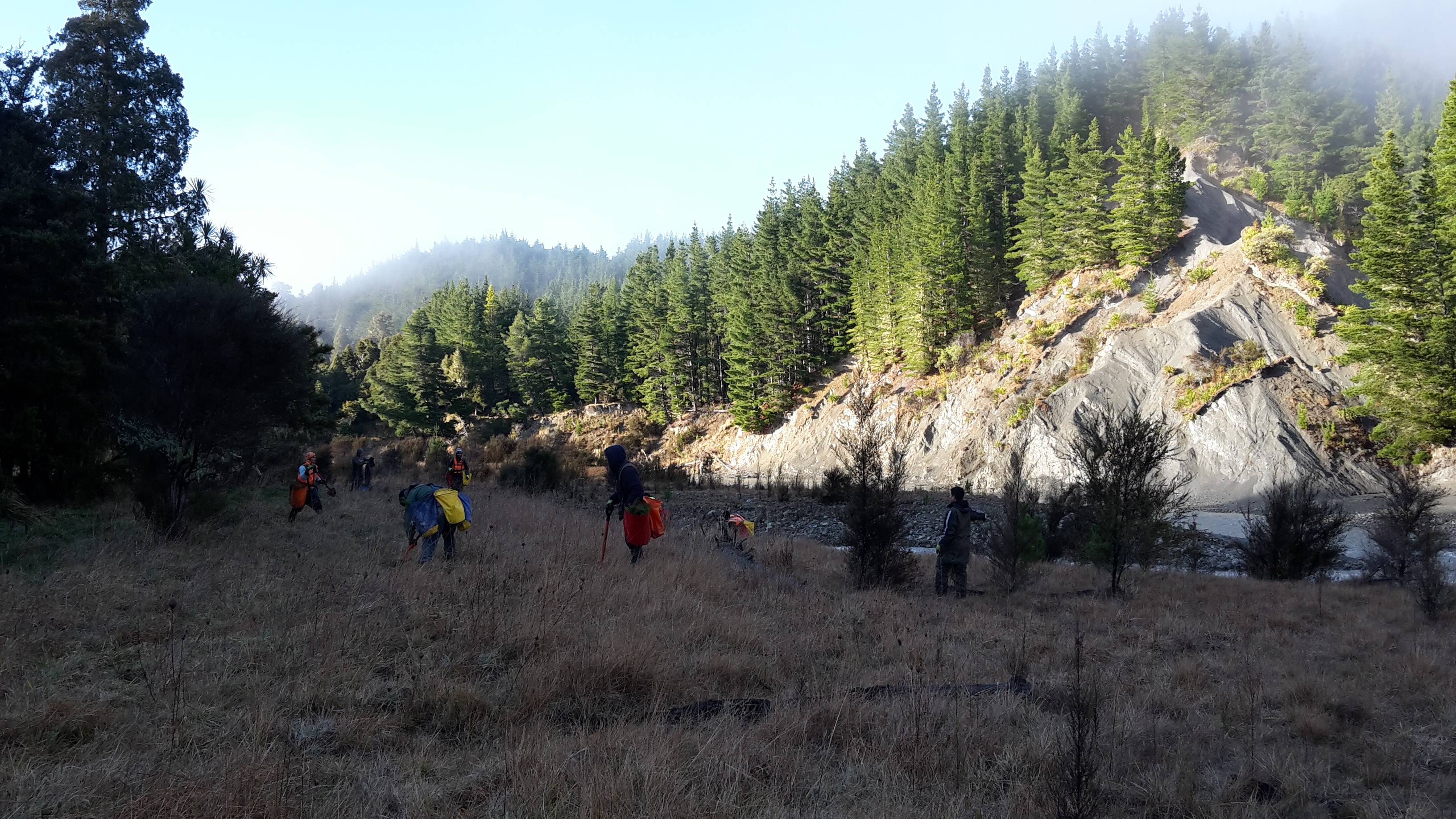 Native Solutions team member executing native planting and vegetation management in Canterbury, Greater Christchurch, Hawkes Bay, and Gisborne