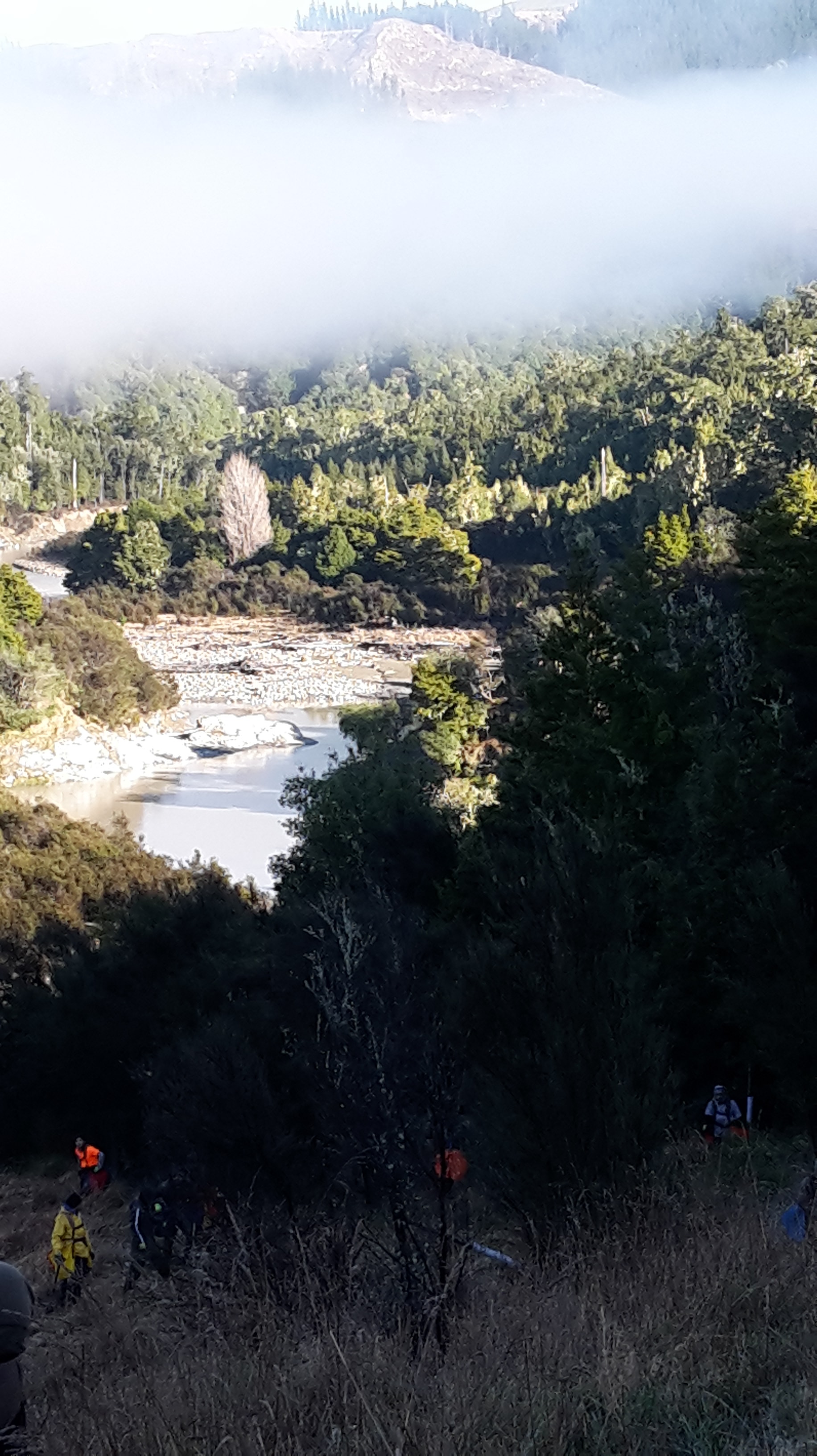 Skilled Native Solutions team member executing native planting and vegetation management in Canterbury, Greater Christchurch, Hawkes Bay, and Gisborne