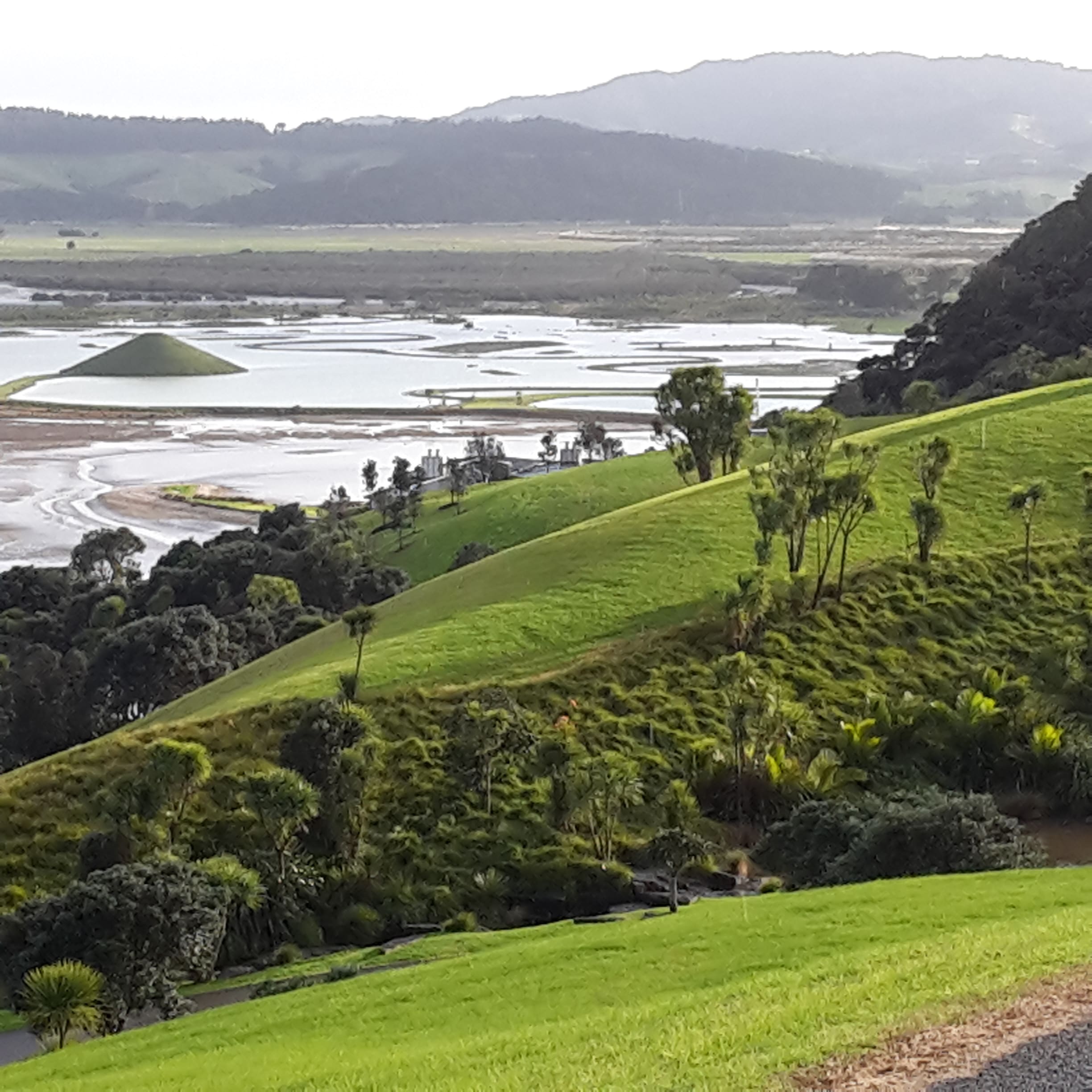 Native Solutions team conducting erosion control and native planting on a hillside in Canterbury, South Island