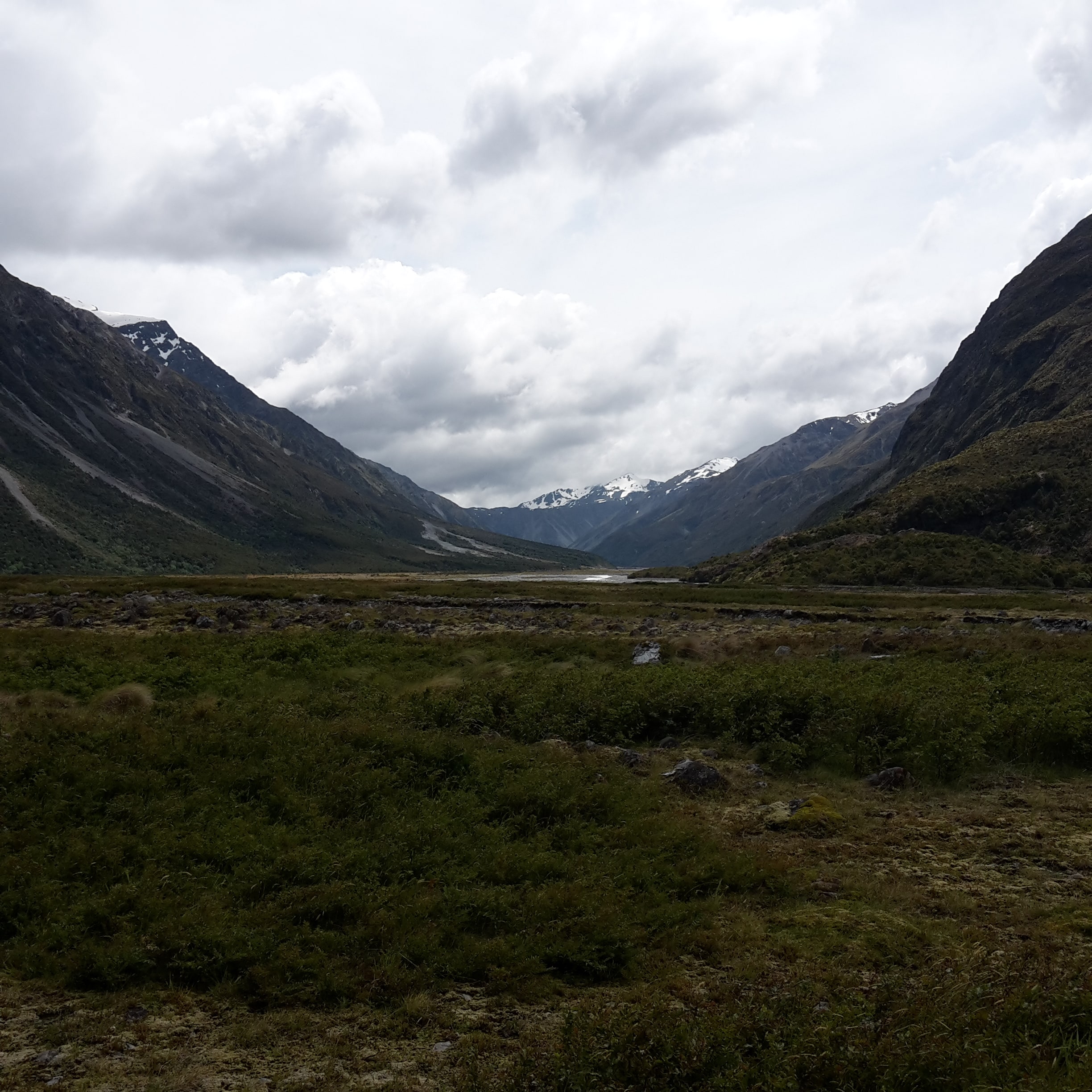 website image of mountains and fields for Native Solutions website offering forestry management and forestry planting