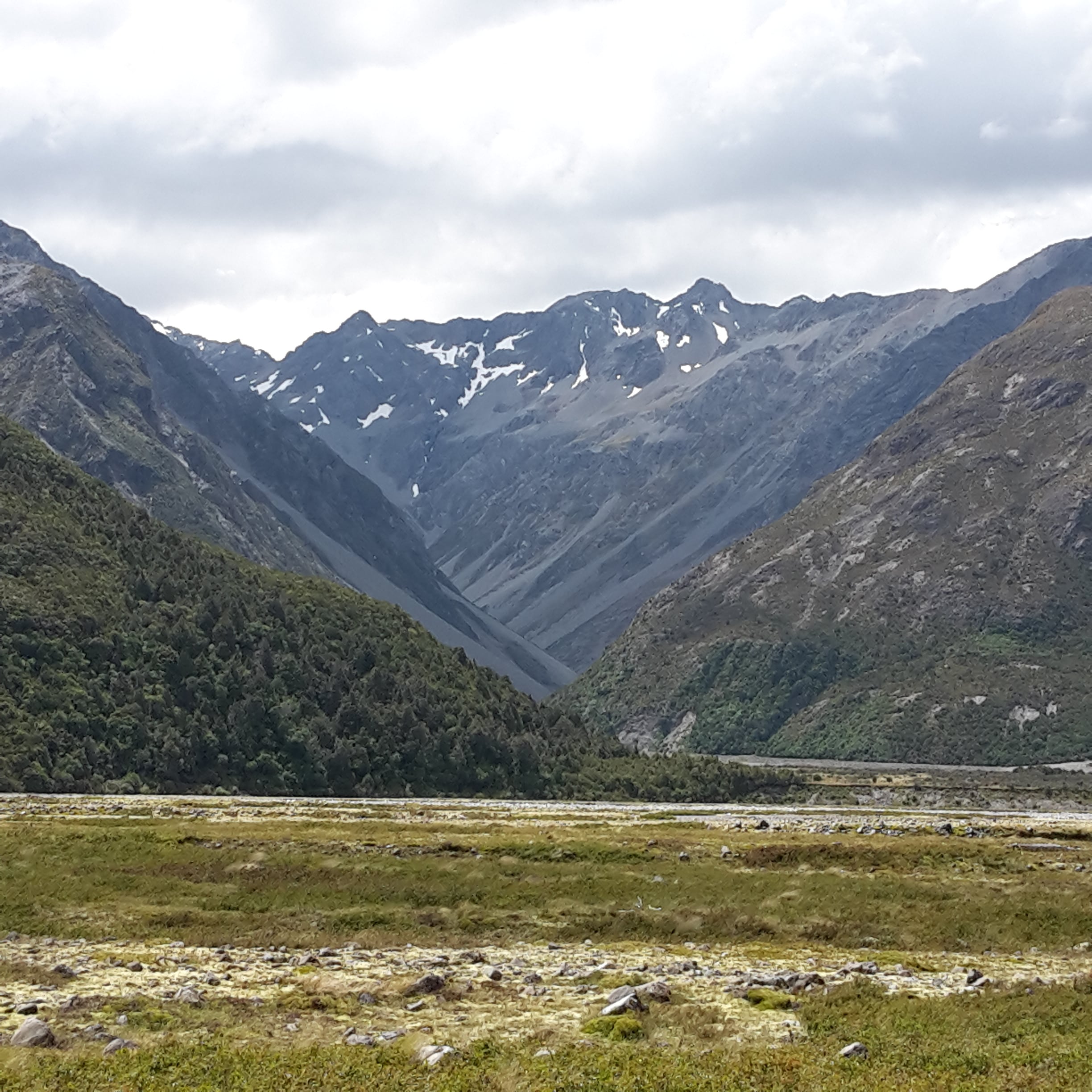 website image of mountains and fields for Native Solutions website offering forestry management and forestry planting