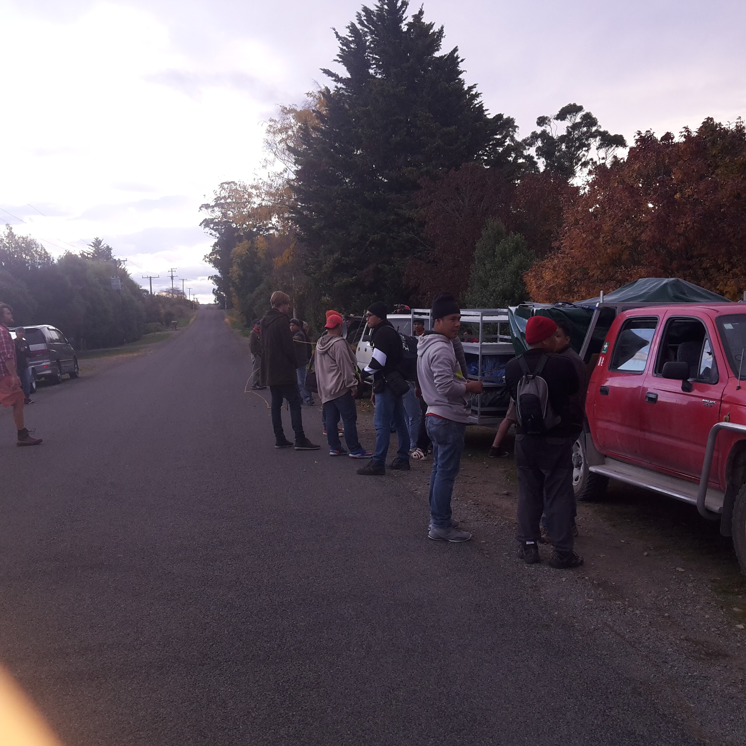 Native Solutions team preparing to implement silvicultural practices and highway beautification projects in Canterbury, Christchurch, Auckland, and Nationwide