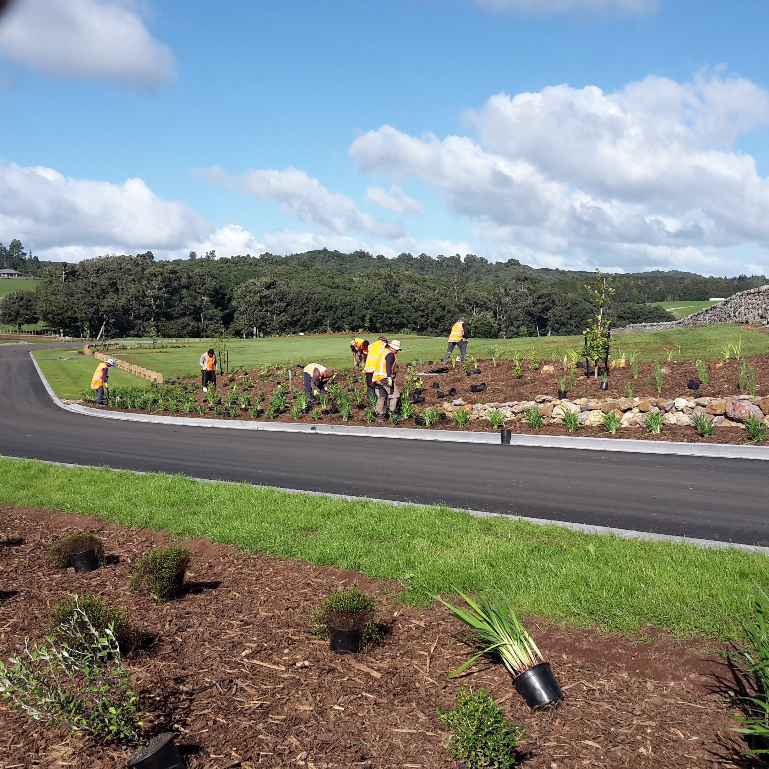 Native Solutions team conducting erosion control and native planting on a hillside in Canterbury, South Island