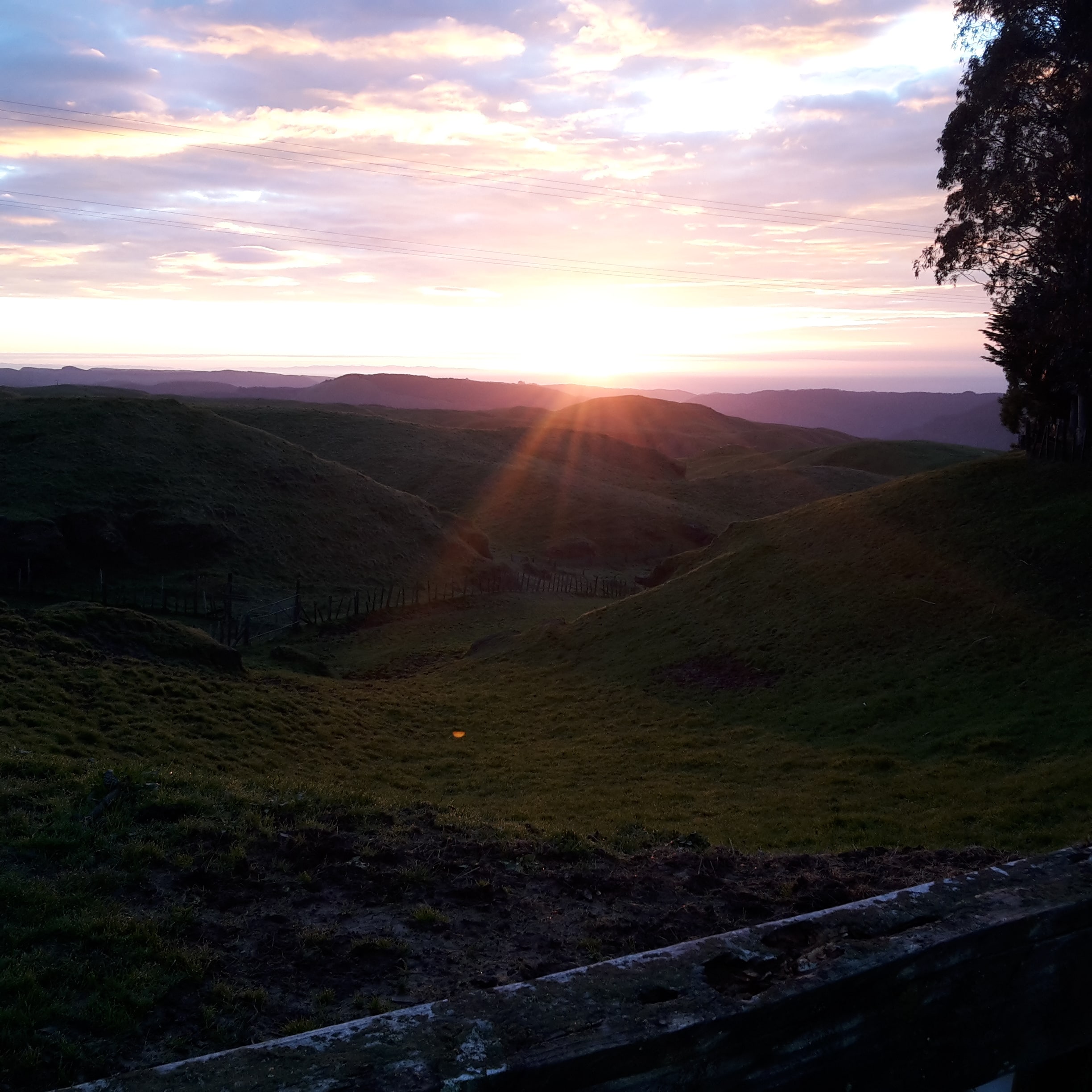 website image of hills and fields for Native Solutions website offering forestry management and forestry planting