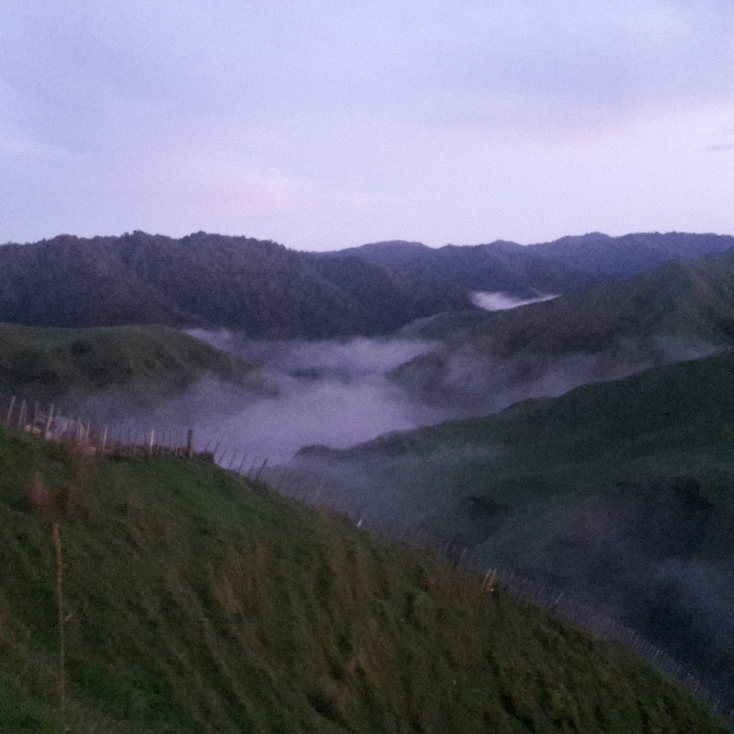 website image of cloudy hills and fields for Native Solutions website offering forestry management and forestry planting