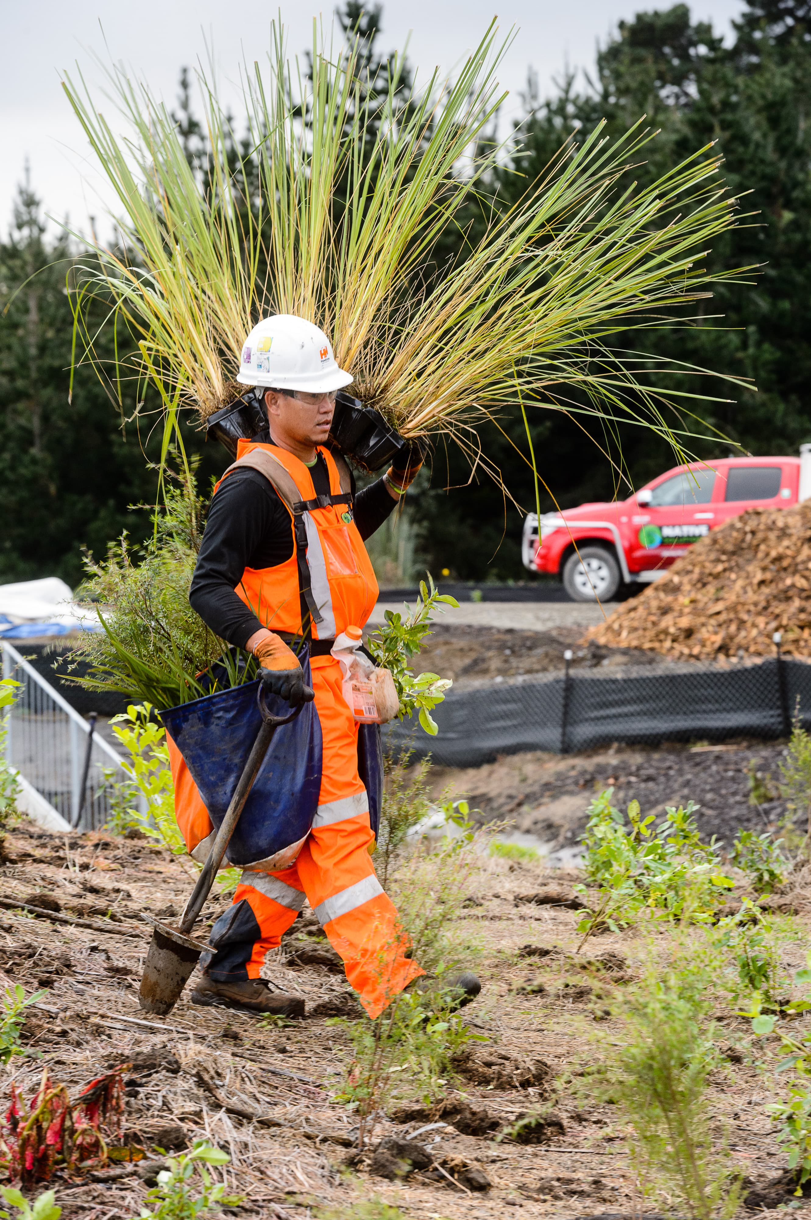 Native Solutions team providing commercial planting and irrigation services in Marlborough, Hawkes Bay, Taranaki, and Bay of Plenty