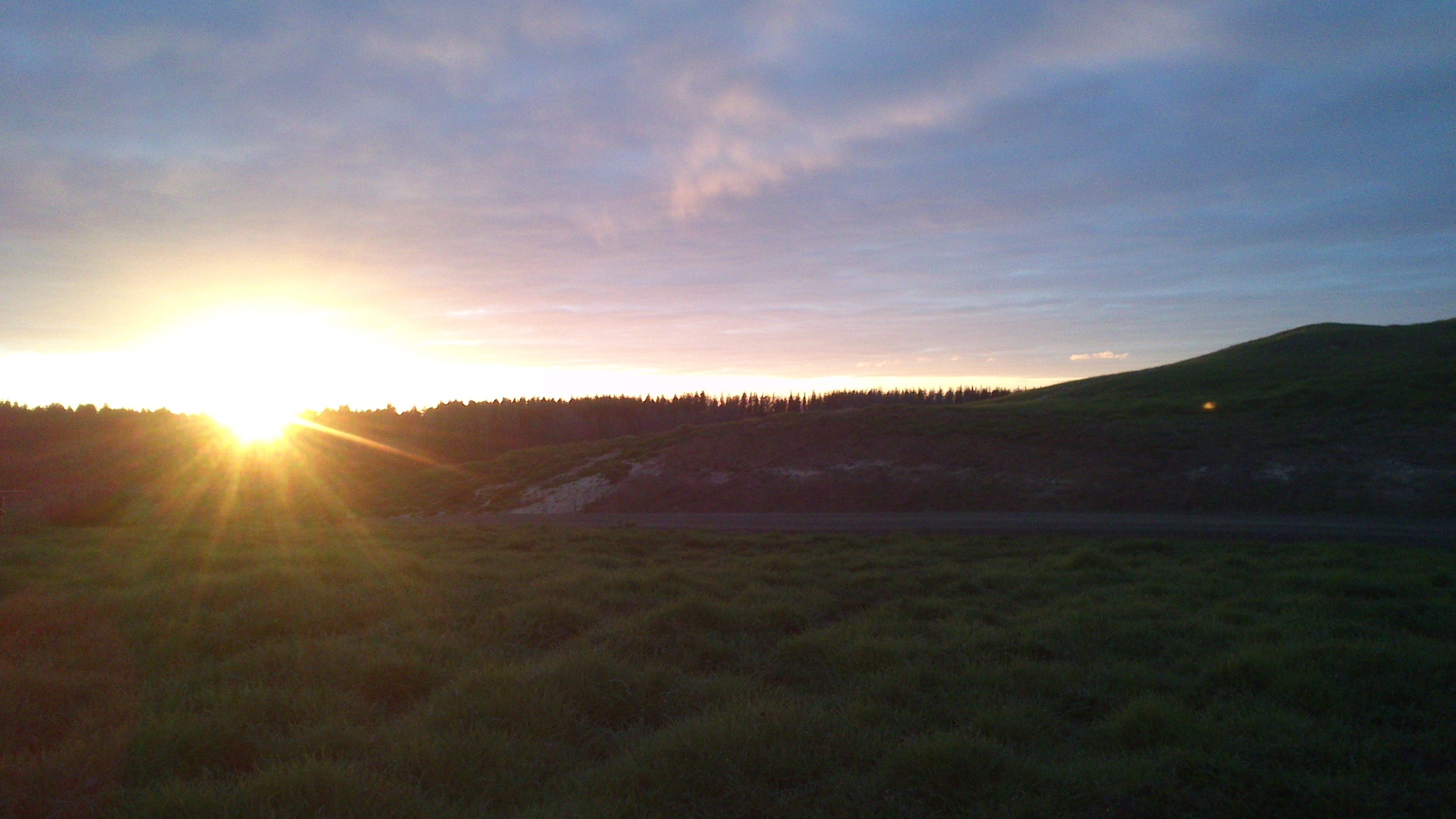 website image of sunset hills and fields for Native Solutions website offering forestry management and forestry planting