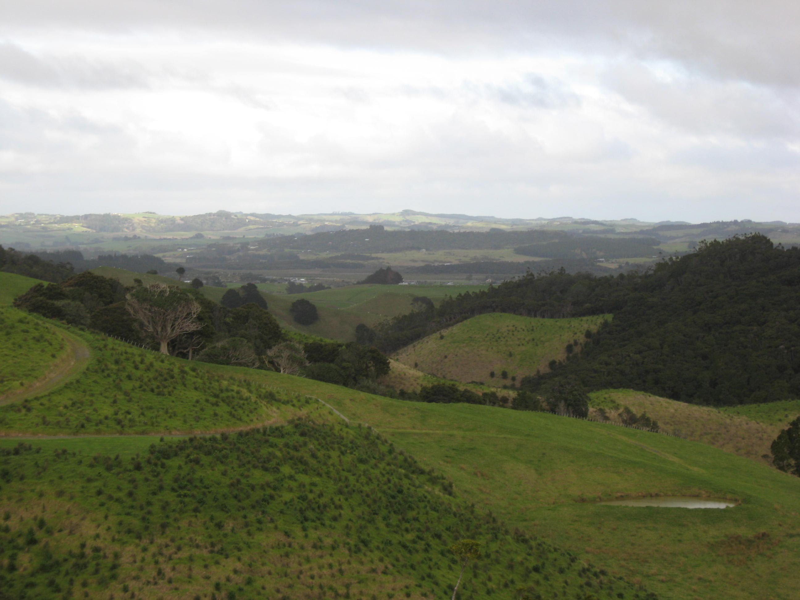 website image of mountains and fields for Native Solutions website offering forestry management and forestry planting