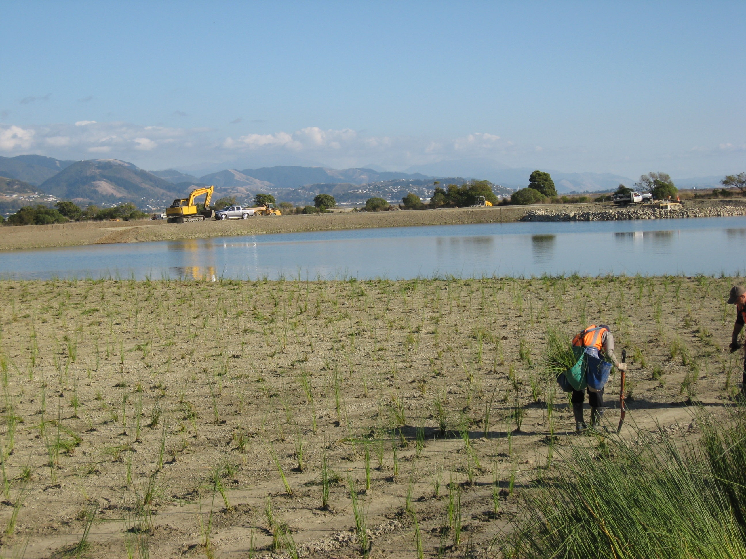 Native Solutions team executing native planting and vegetation management in Canterbury, Greater Christchurch, Hawkes Bay, and Gisborne