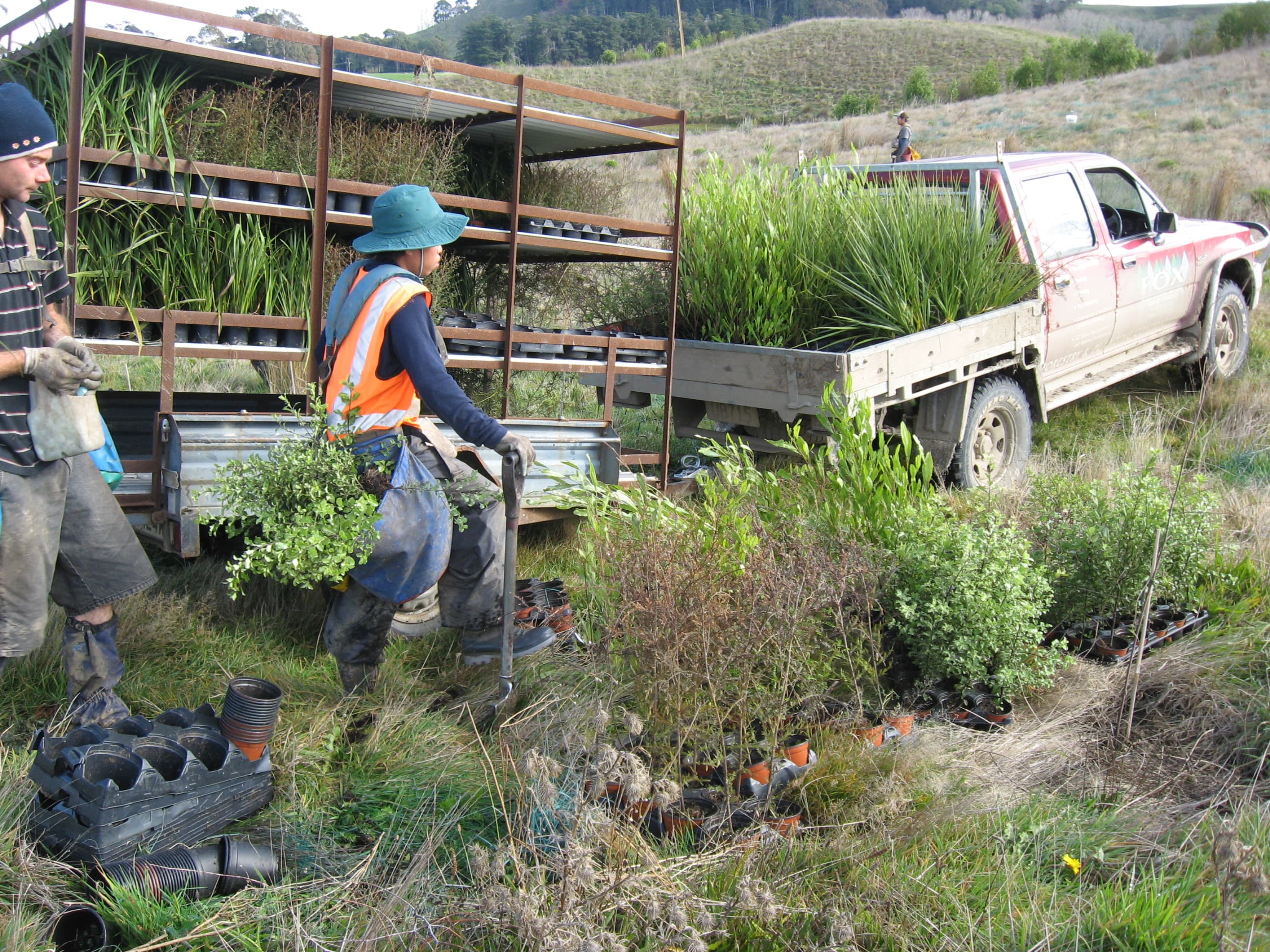 Native Solutions team member implementing silvicultural practices and native planting in Canterbury, Greater Christchurch, Hawkes Bay, and Gisborne