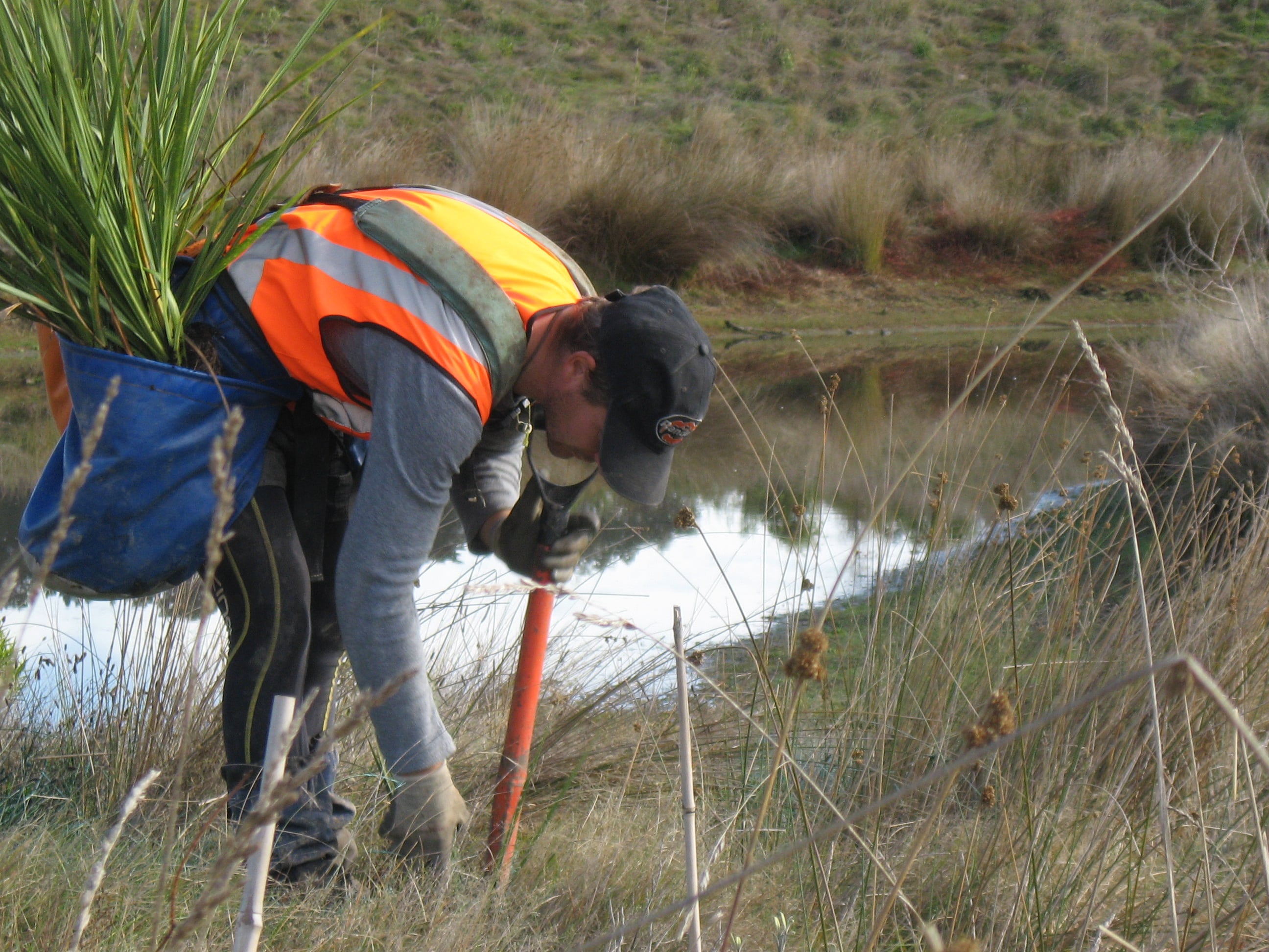 Native Solutions team member implementing silvicultural practices and native planting in Canterbury, Greater Christchurch, Hawkes Bay, and Gisborne