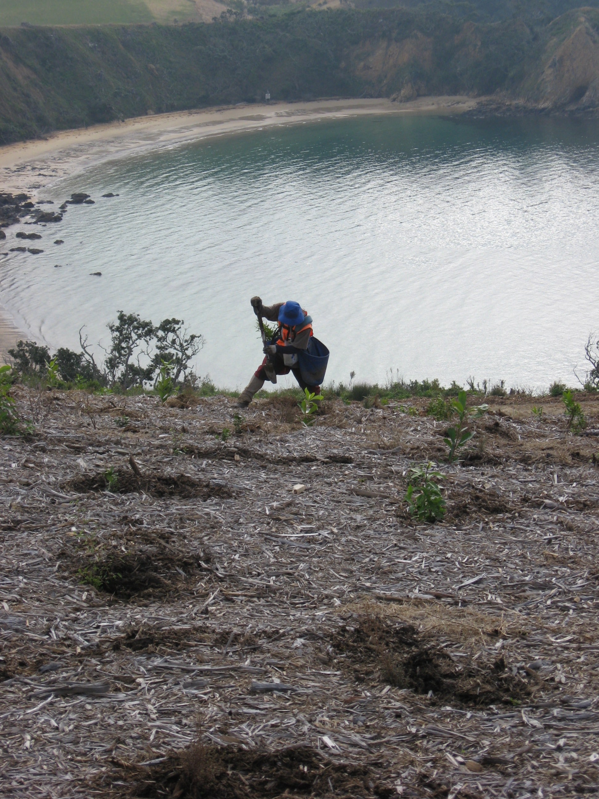 Native Solutions team conducting erosion control and native planting on a hillside in Canterbury, South Island