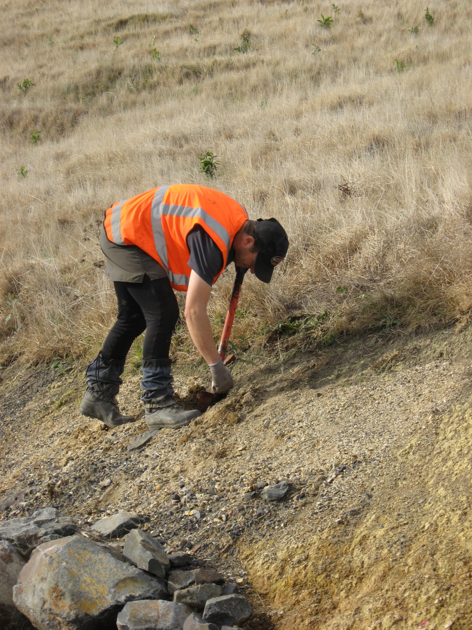 Native Solutions team member implementing silvicultural practices and native planting in Canterbury, Greater Christchurch, Hawkes Bay, and Gisborne