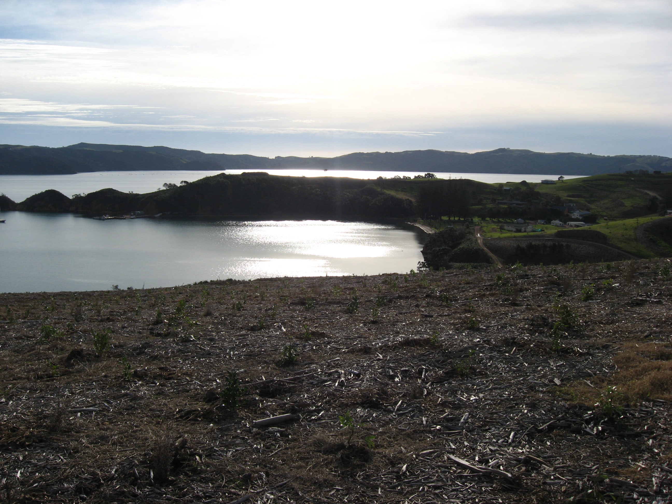 Gallery image of hills for Native Solutions website offering native revegetation and pest control in the South Island, Central North Island, Timaru, and Nationwide