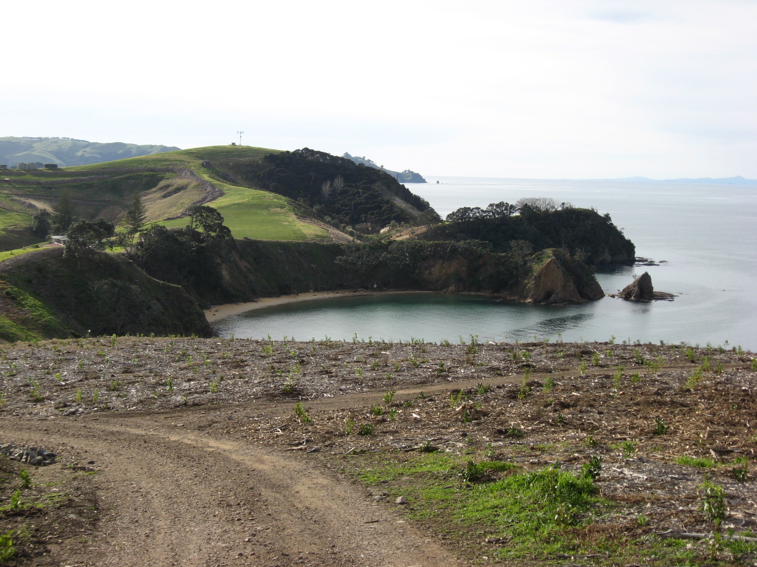 Gallery image of hills for Native Solutions website offering forest spraying and pest control in Canterbury, Otago, Queenstown, and Manawatu