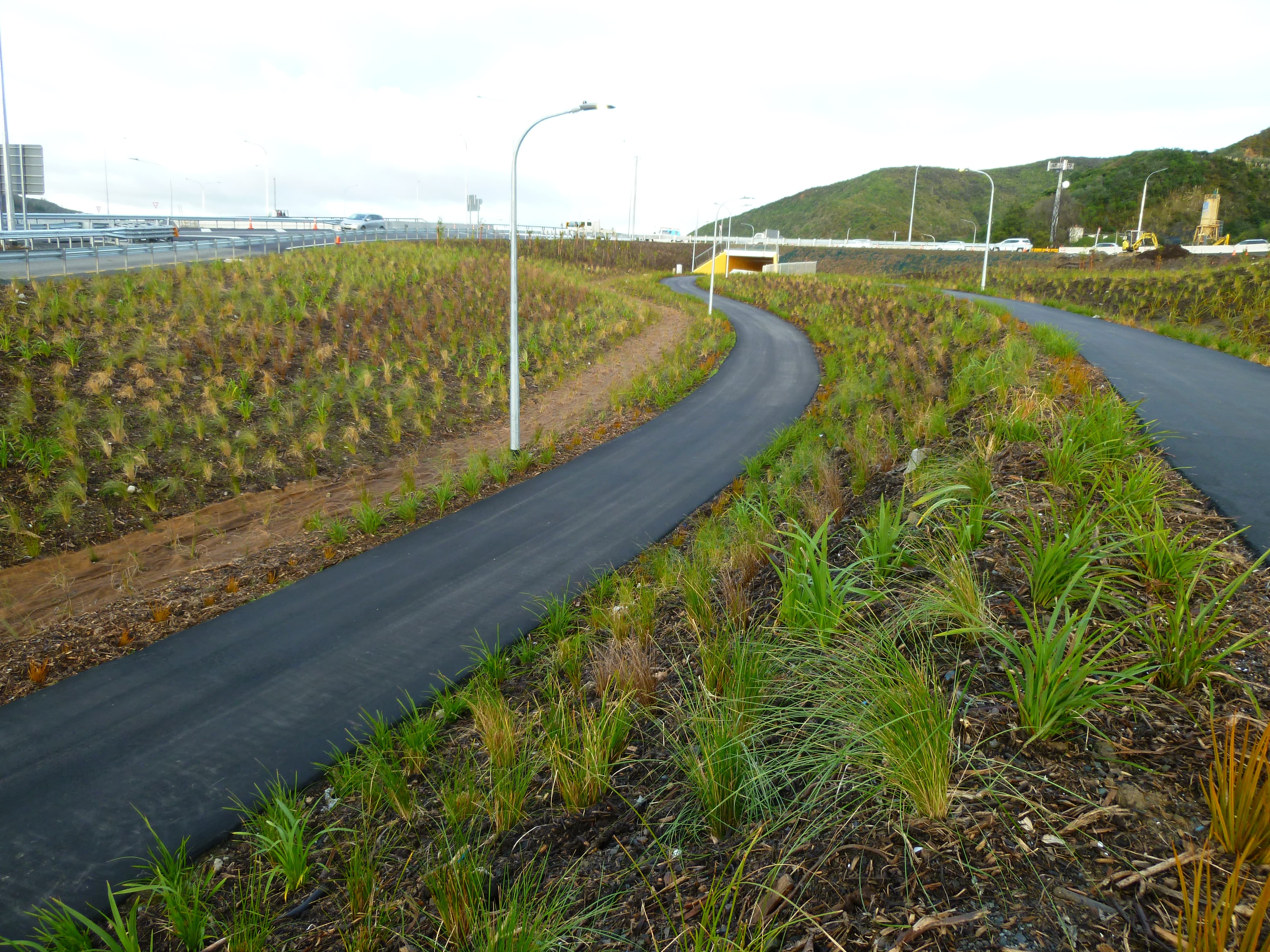 Native Solutions' silvicultural project showcasing highway beautification in Canterbury, Christchurch, Auckland, and Nationwide