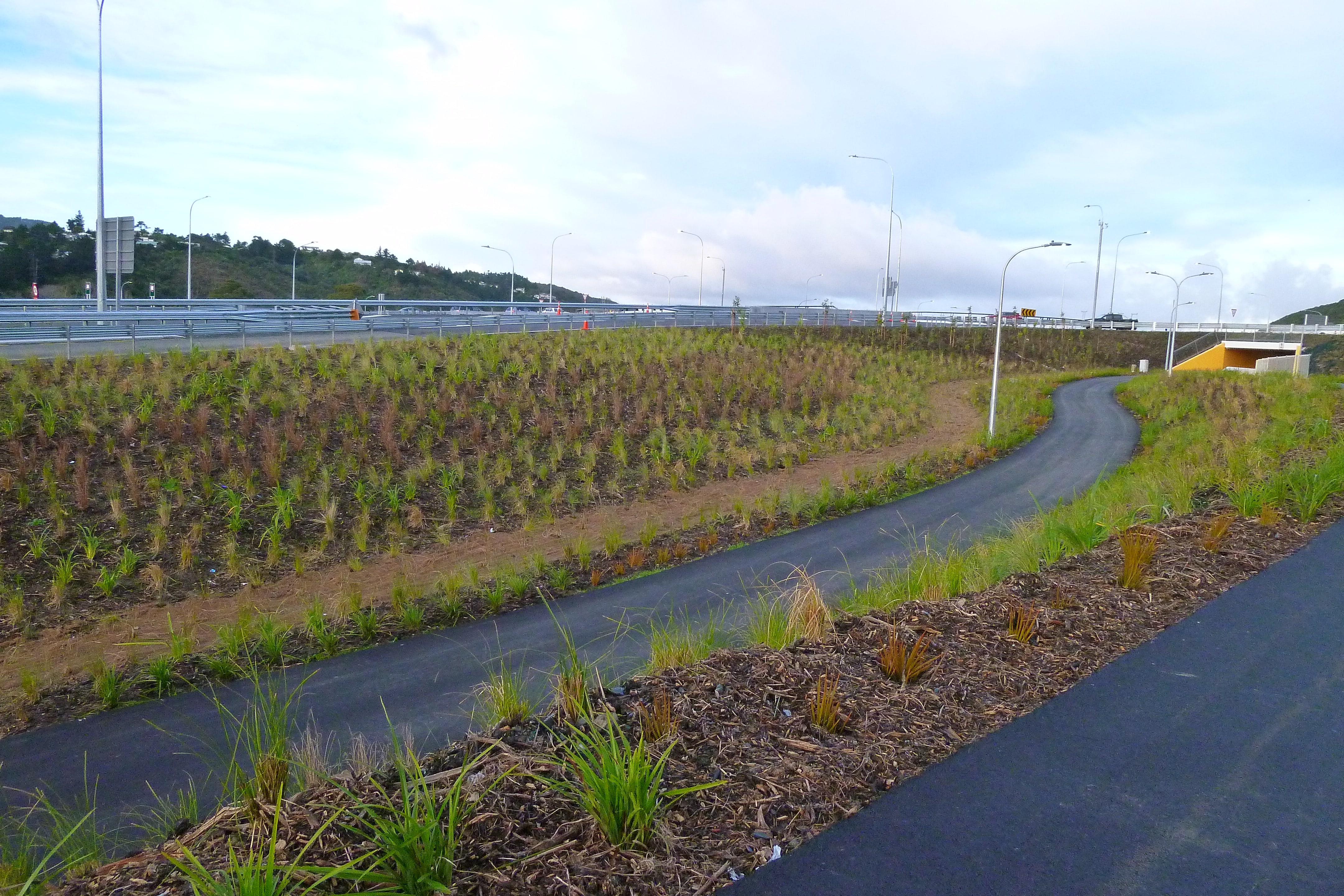 Native Solutions' silvicultural project showcasing highway beautification in Canterbury, Otago, Queenstown, and Manawatu