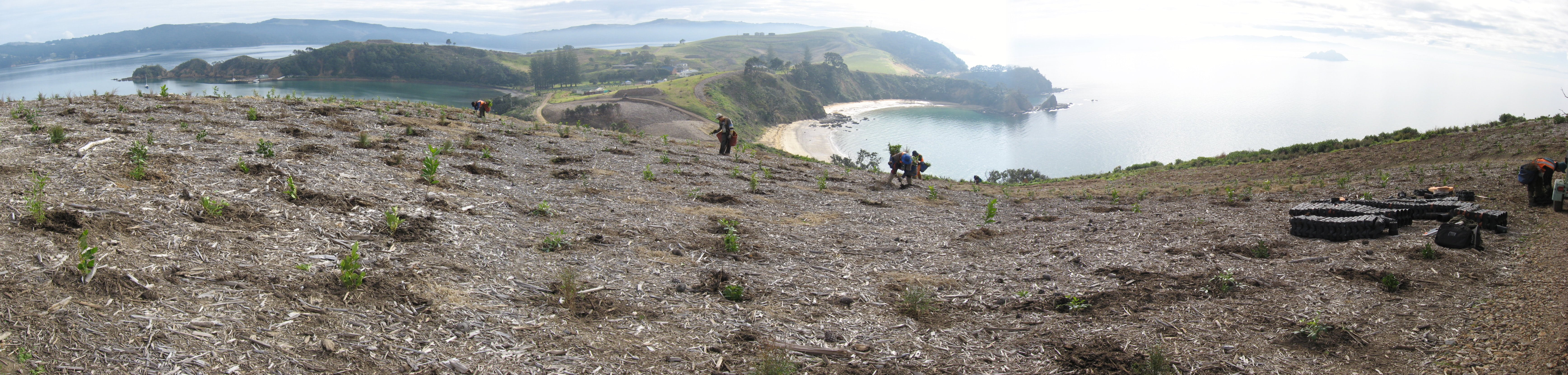 Native Solutions team providing erosion control and native planting on a hillside in Canterbury, South Island