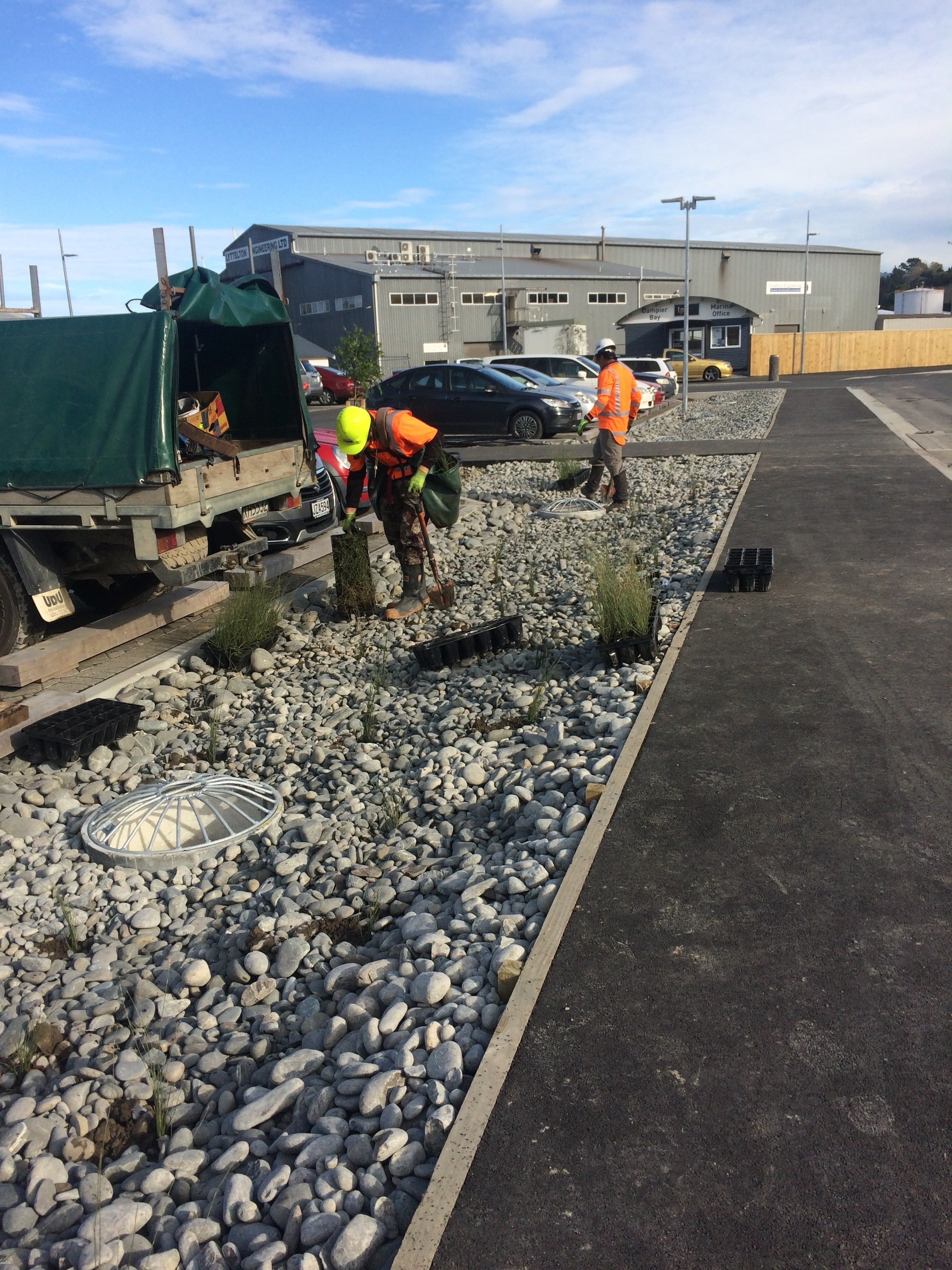 Native Solutions team member preparing to implement silvicultural practices and native planting in Canterbury, Greater Christchurch, Hawkes Bay, and Gisborne