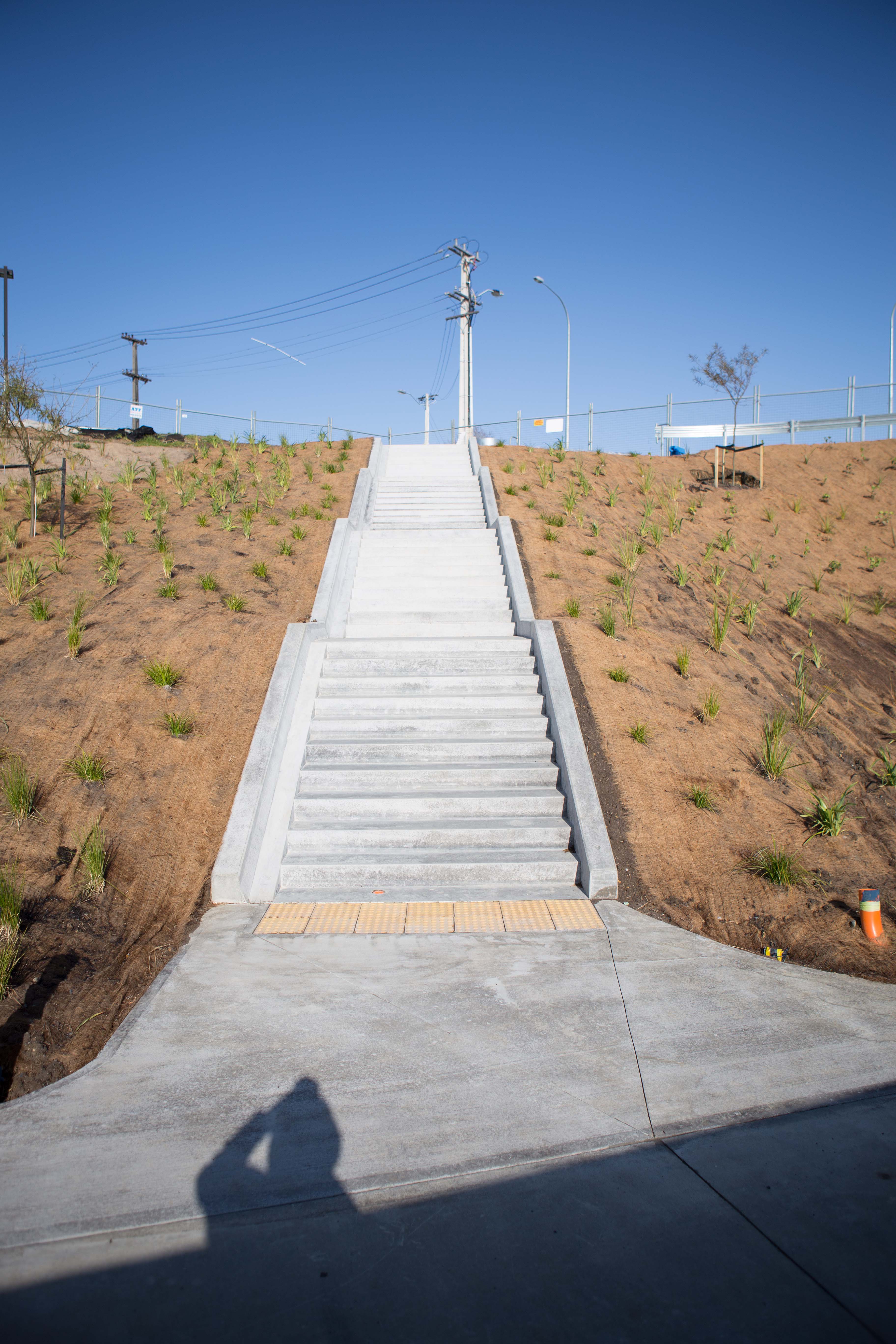 Native Solutions image of public stairs with plants and bushes planted nearby for highway beautification projects in Canterbury, Christchurch, Auckland, and Nationwide