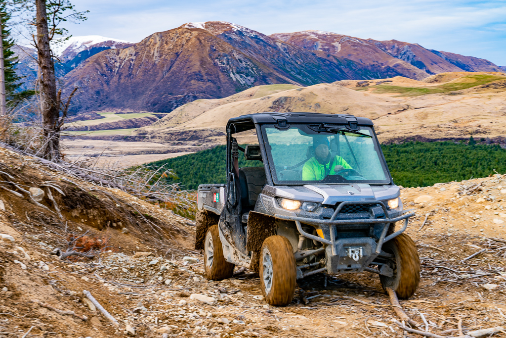 Native Solutions team carrying out mulching services and forest management in Marlborough, Central Otago, Auckland, and Tauranga.