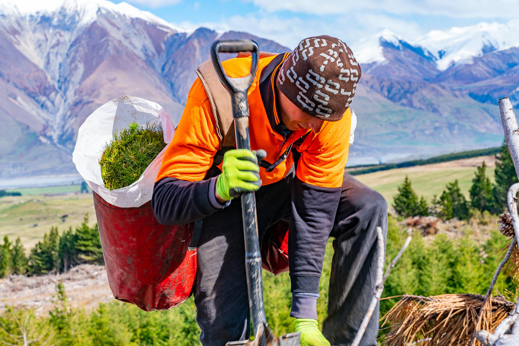 native revegetation being planted by Native Solutions team in New Zealand