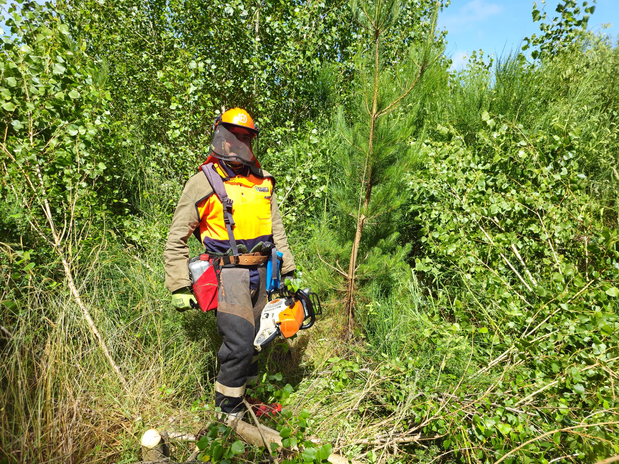 Native Solutions team doing forestry thinning for projects throughout Canterbury, Christchurch, Auckland, and Nationwide