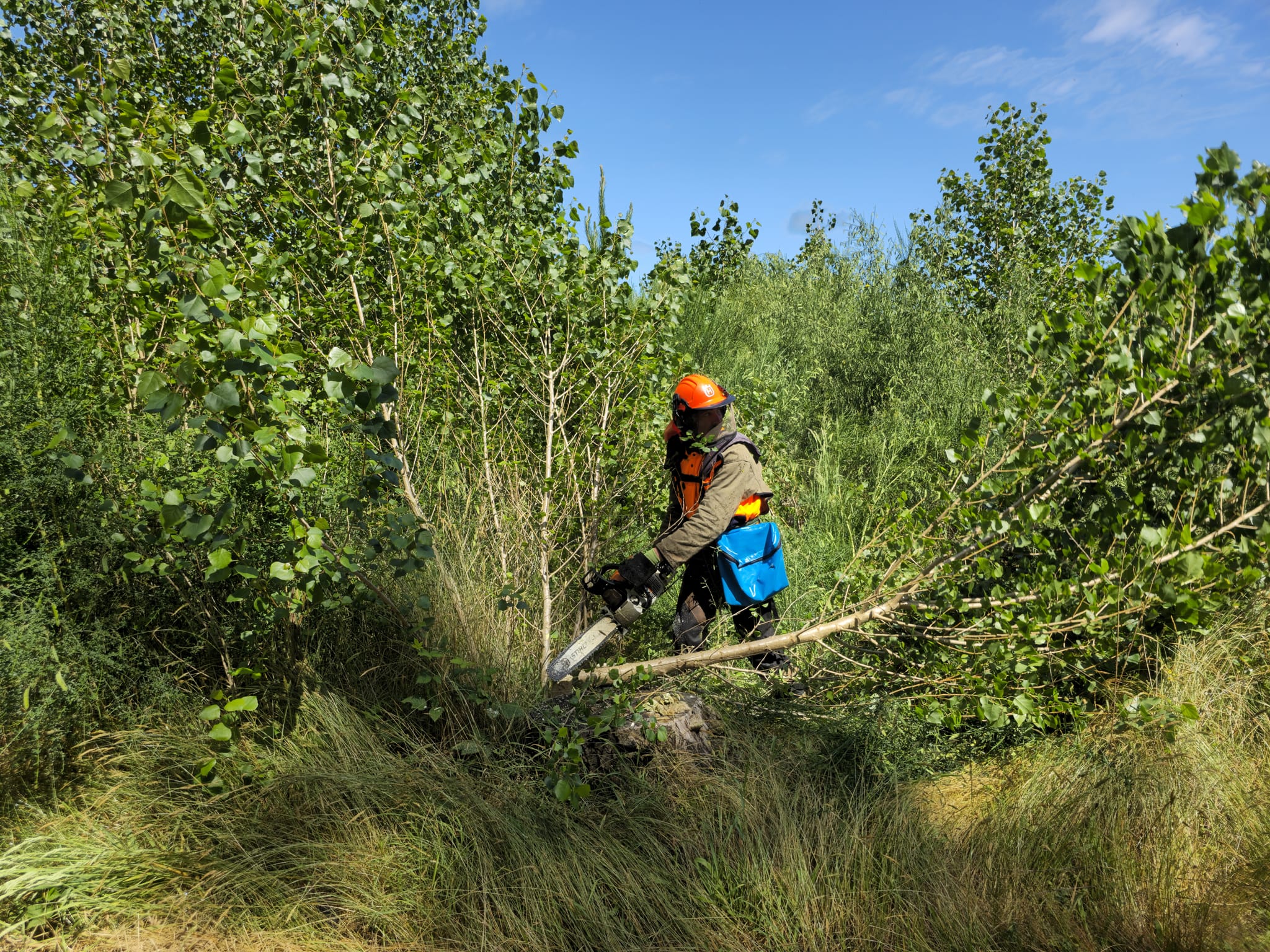 Native Solutions team doing forestry thinning for projects throughout Canterbury, Christchurch, Auckland, and Nationwide