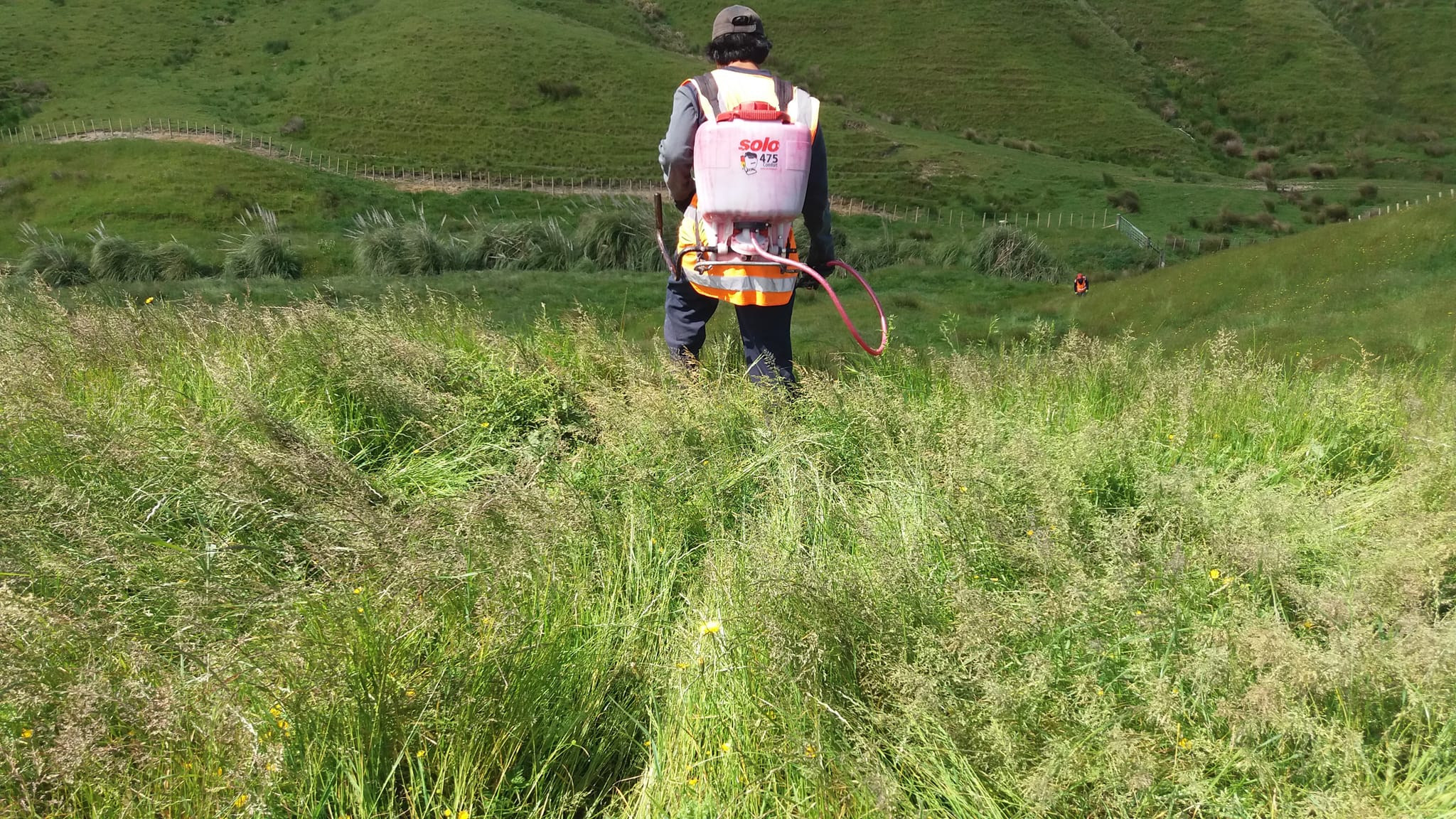 Native Solutions team performing erosion control and native planting with precision chemical spraying techniques on a hillside in Canterbury, South Island