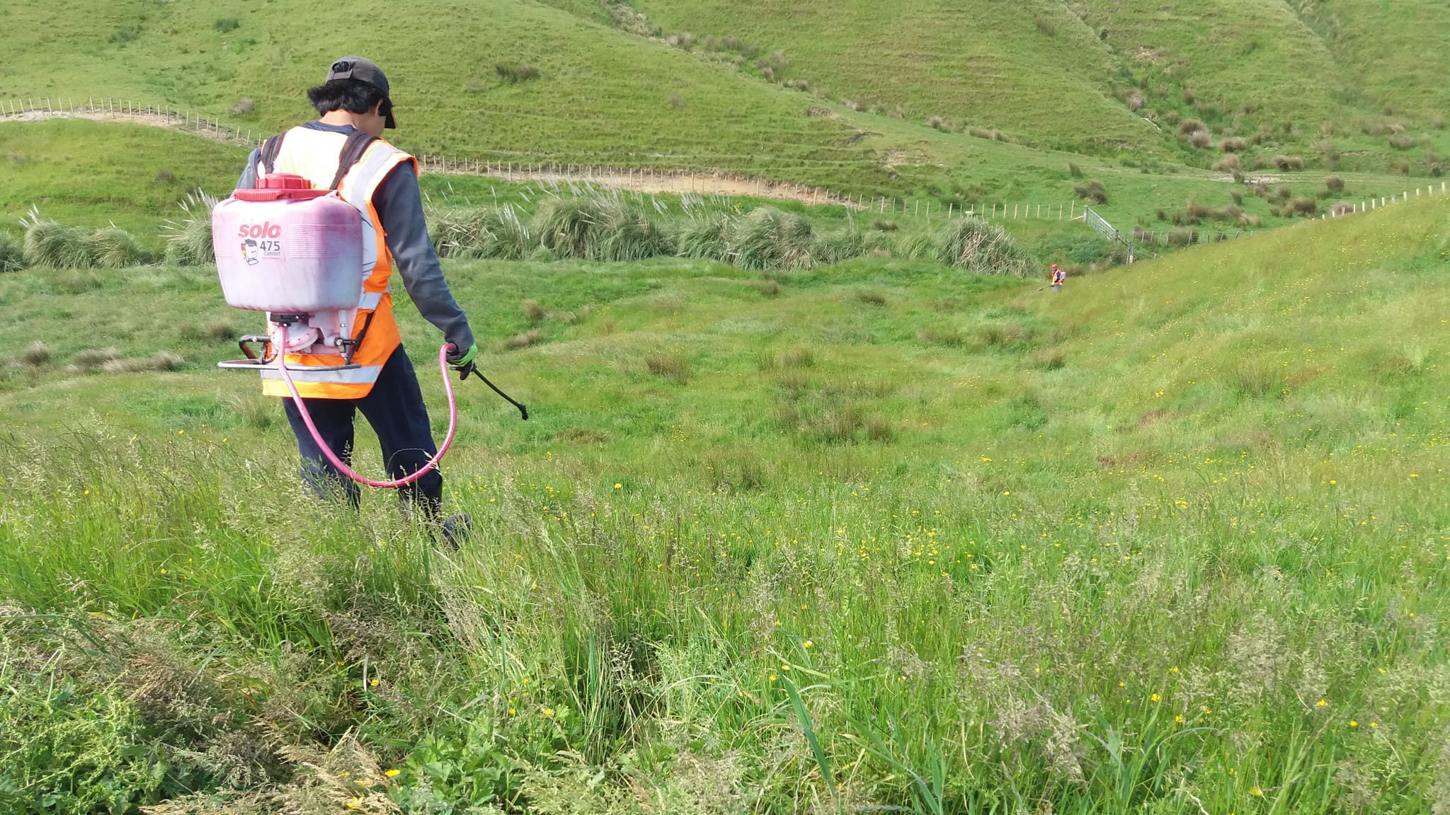 Native Solutions team performing erosion control and native planting with precision chemical spraying techniques on a hillside in Canterbury, South Island