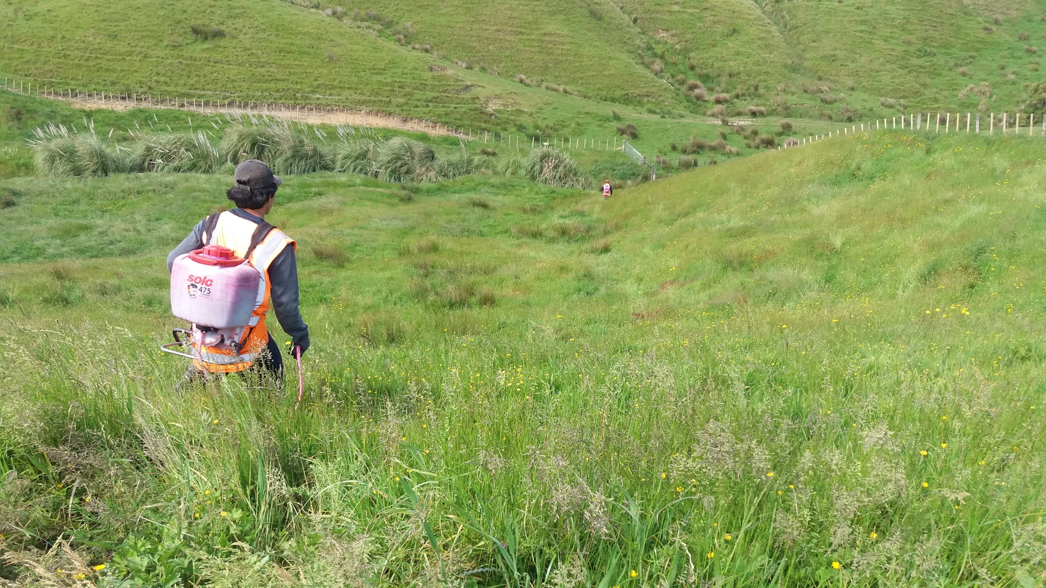 Native Solutions team performing erosion control and native planting with precision chemical spraying techniques on a hillside in Canterbury, South Island