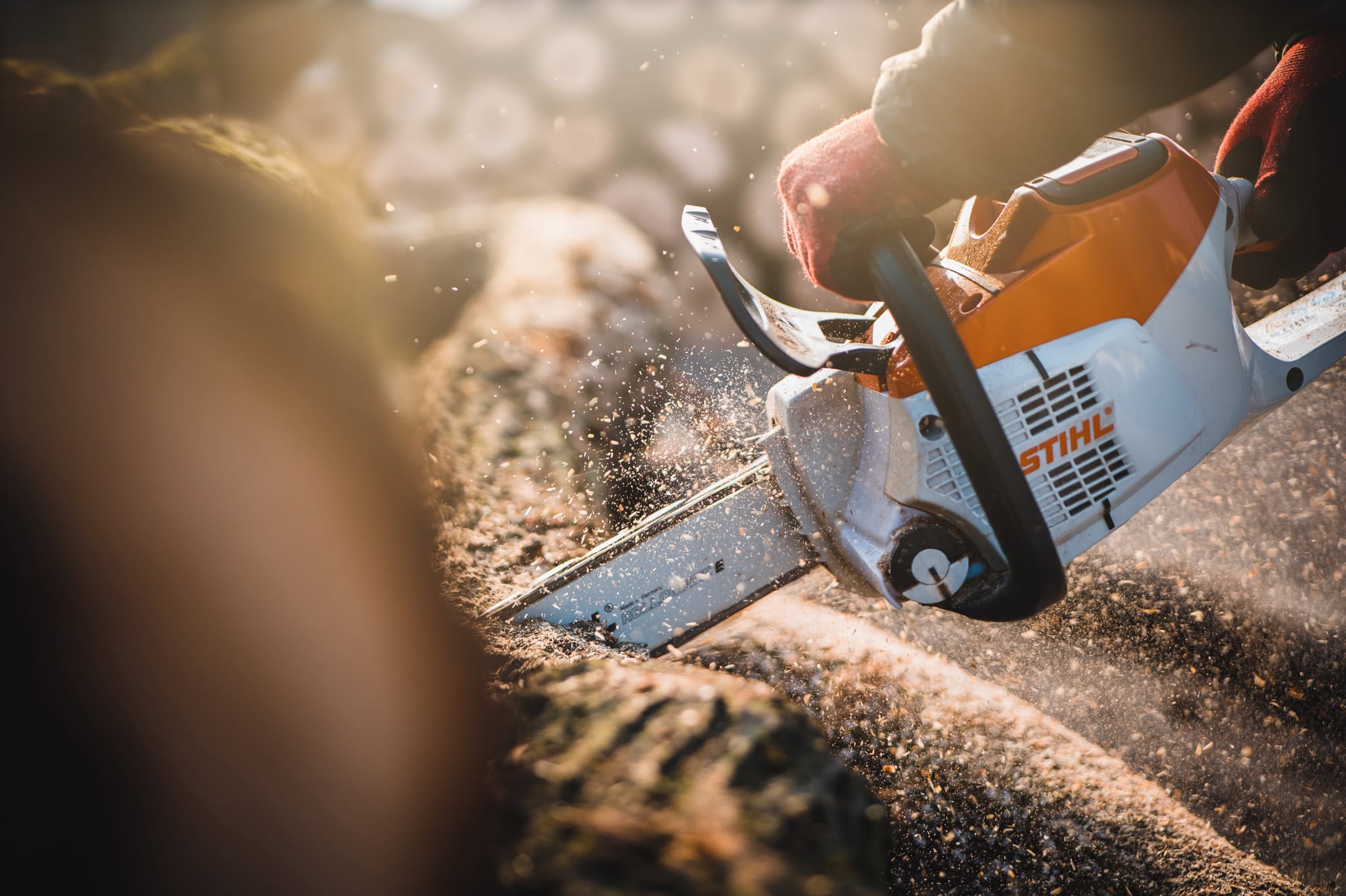 Native Solutions expertly providing pest control services for forestry and land maintenance across Marlborough, South Island, Canterbury