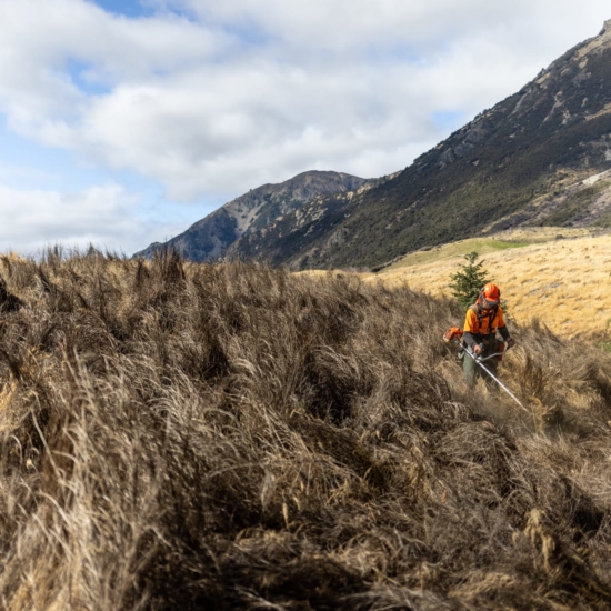 Expert Native Solutions team implements erosion control and native planting using chemical spraying techniques in Canterbury, Marlborough, Christchurch, and Kaikoura