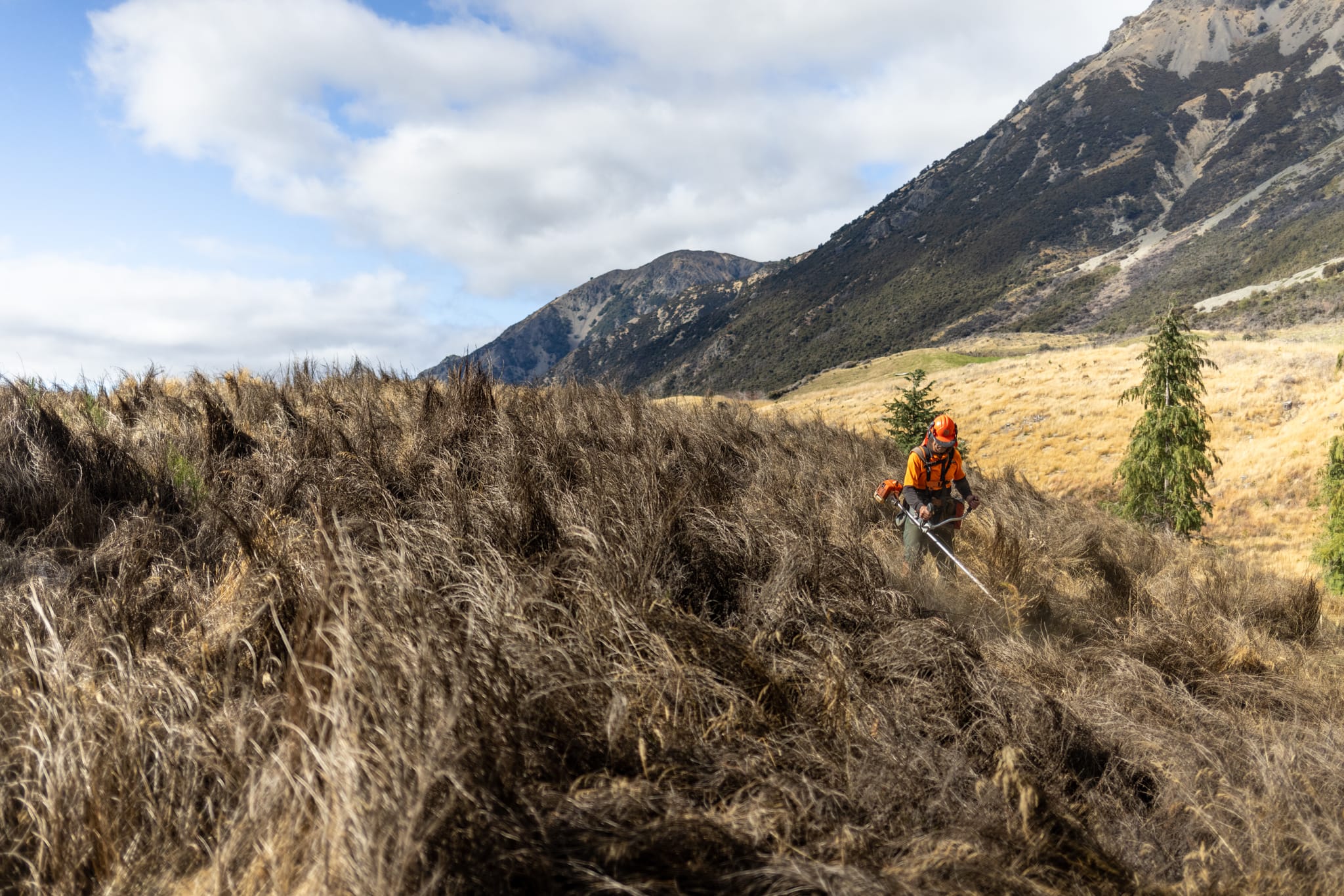 Expert Native Solutions team implements erosion control and native planting using chemical spraying techniques in Canterbury, Marlborough, Christchurch, and Kaikoura