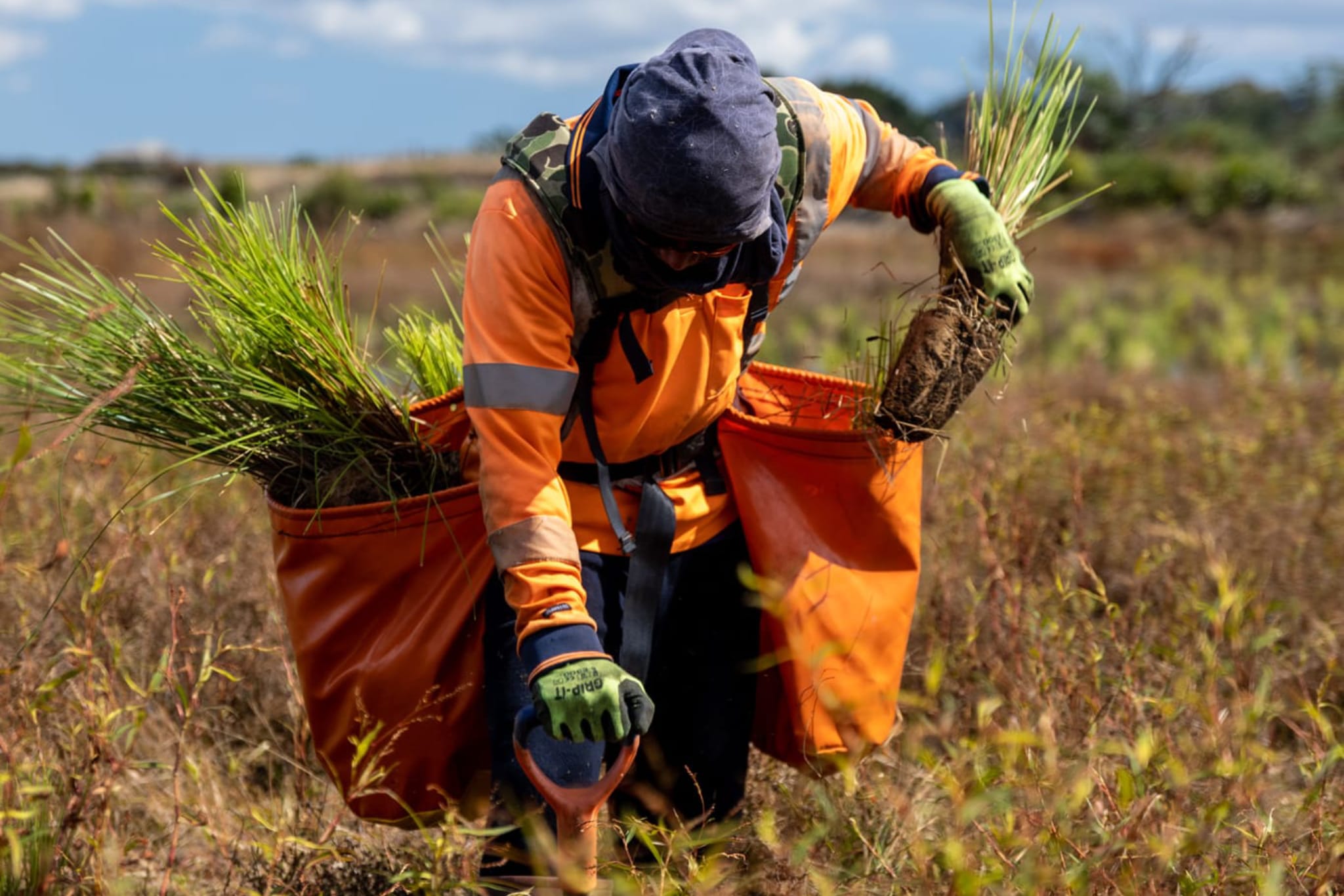 Native Solutions team member implementing silvicultural practices and native planting in Canterbury, Greater Christchurch, Hawkes Bay, and Gisborne