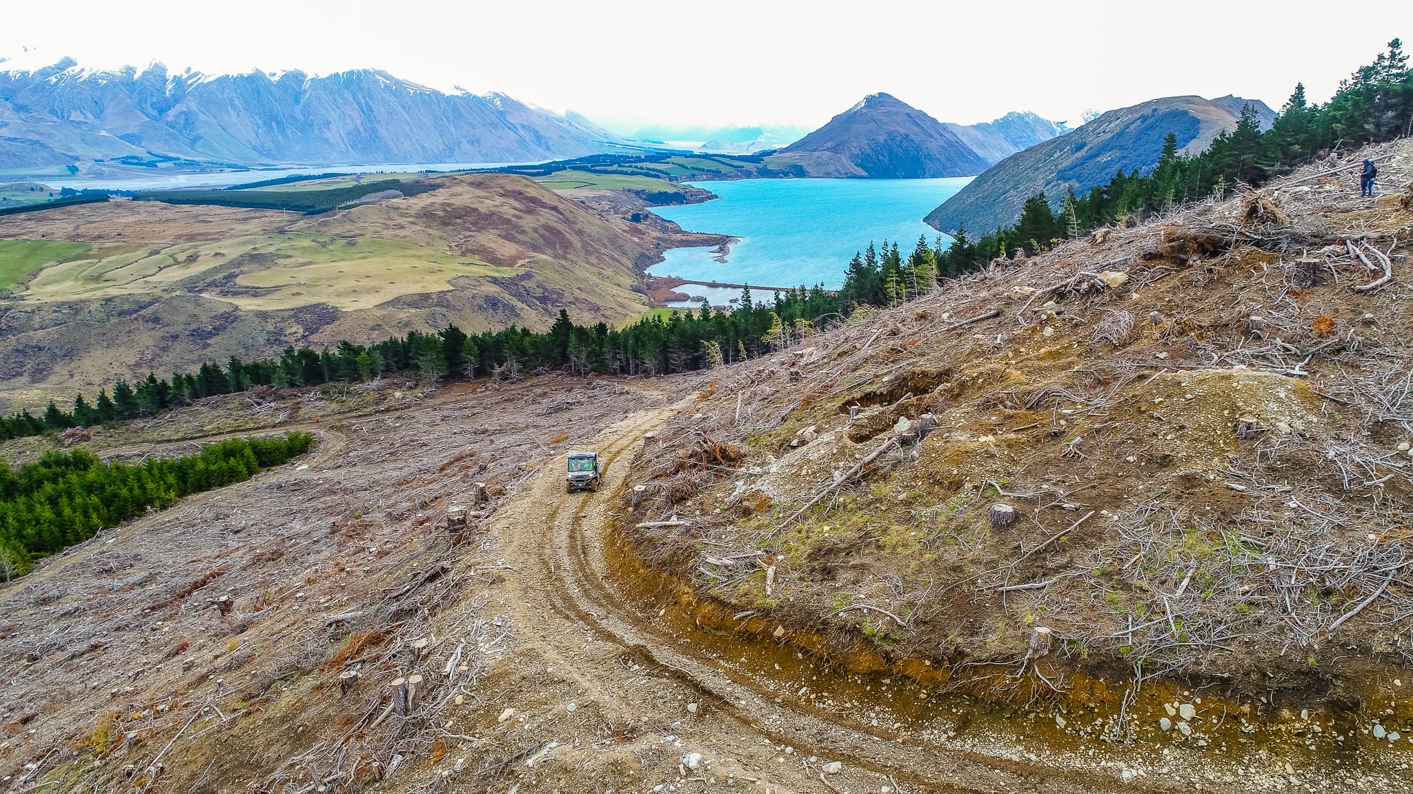 Native Solutions van providing forest management in Canterbury, Otago, Queenstown, and Manawatu