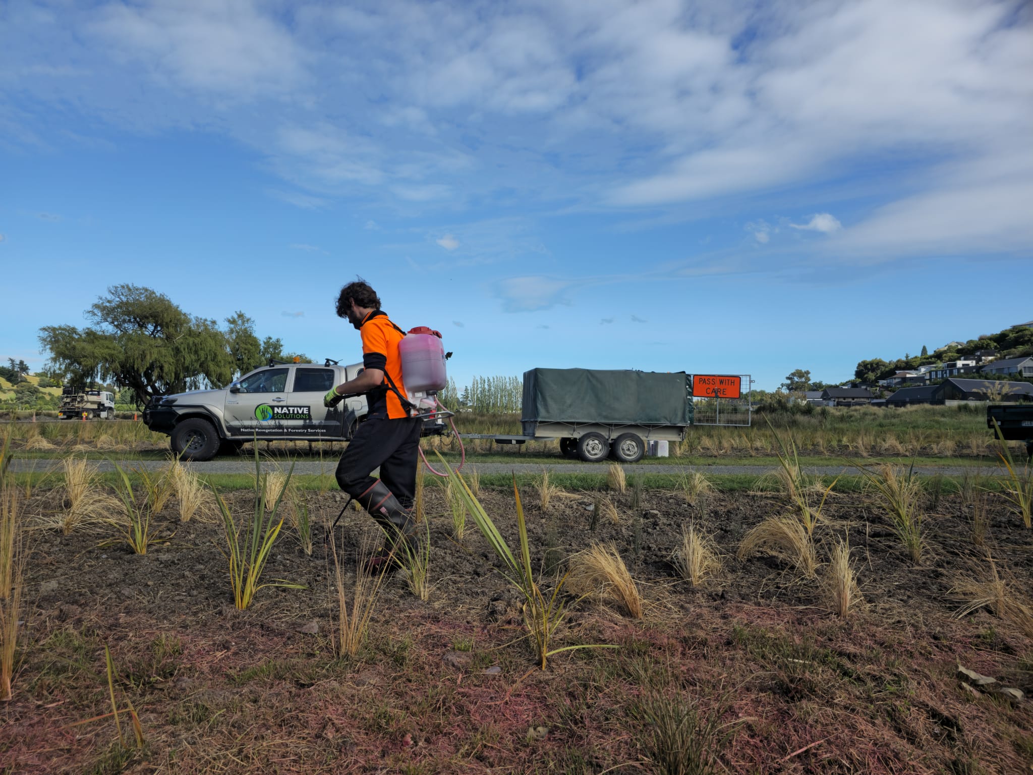 Skilled Native Solutions team member executing native planting and vegetation management in Canterbury, Greater Christchurch, Hawkes Bay, and Gisborne