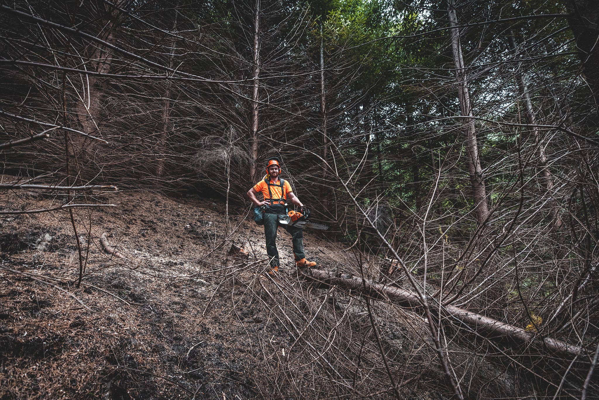 Native Solutions providing forestry thinning services to support land maintenance across Marlborough, South Island, Canterbury, Christchurch, Kaikoura, West Coast, Otago, Auckland, Tauranga, Bay of Plenty, Wellington, Waikato, and Nationwide