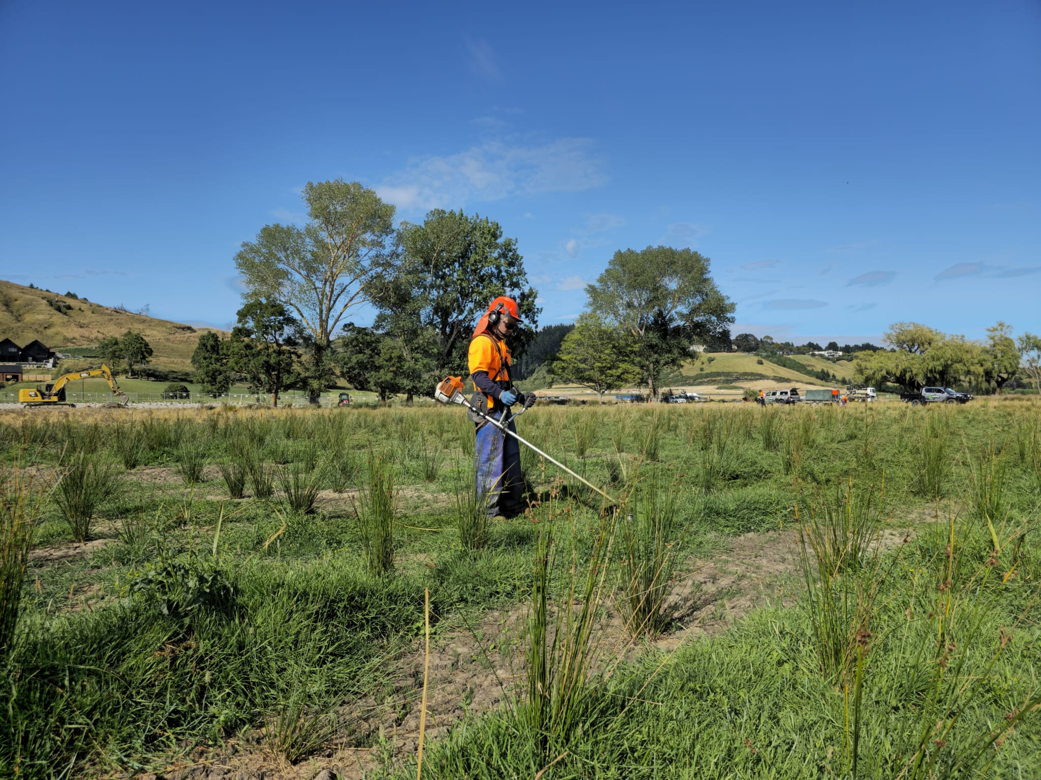 Skilled Native Solutions team member executing native planting and vegetation management in Canterbury, Greater Christchurch, Hawkes Bay, and Gisborne